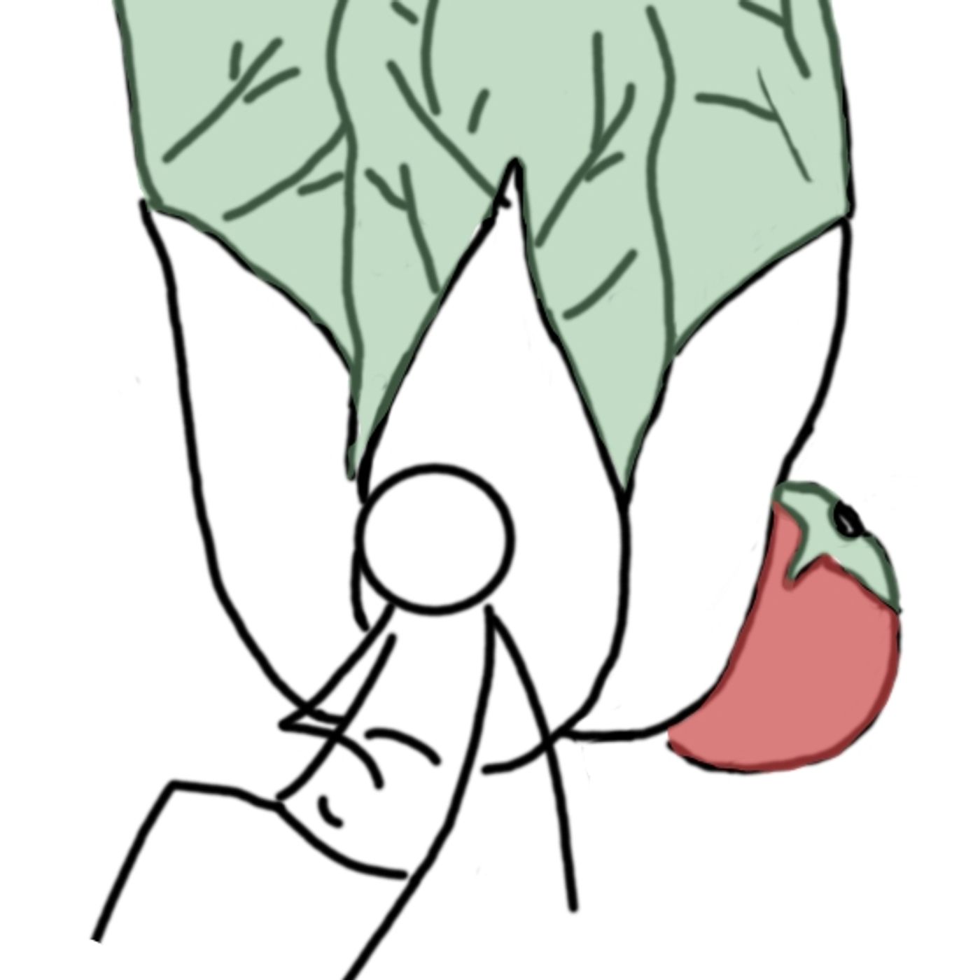 La Tribù della Foglia Verde