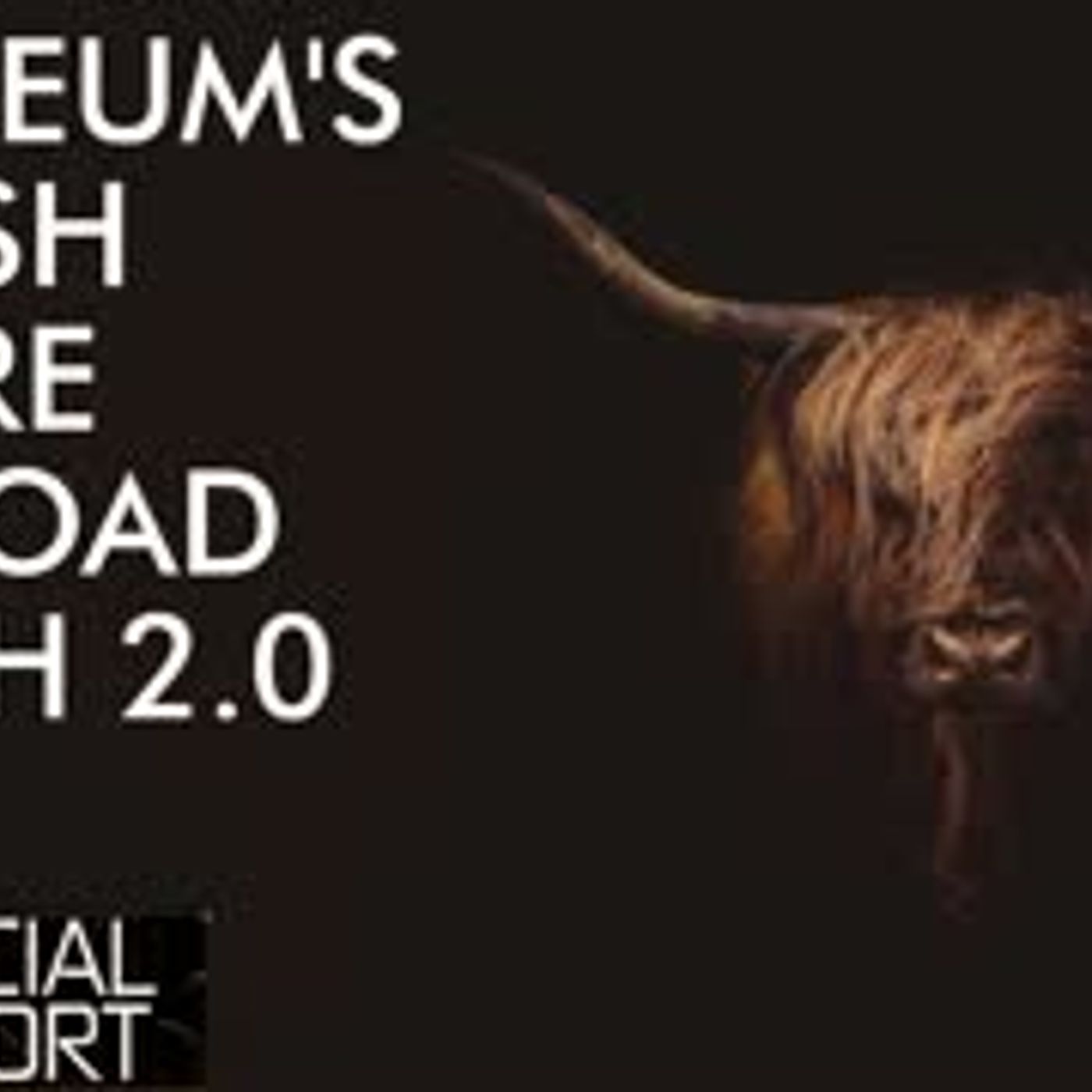 cover of episode Ethereum 2.0 Coming Soon! Why I am Bullish on ETH!