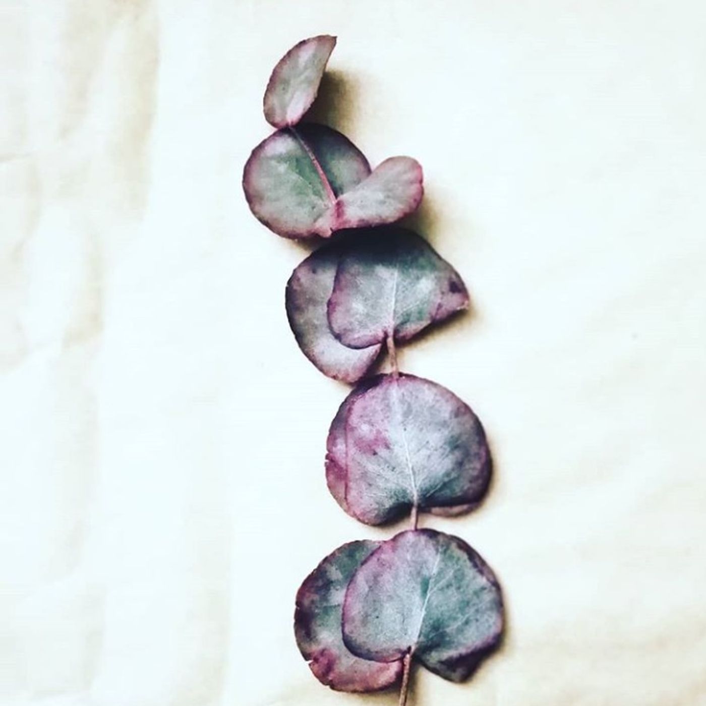 Pensamientos a Cachitos