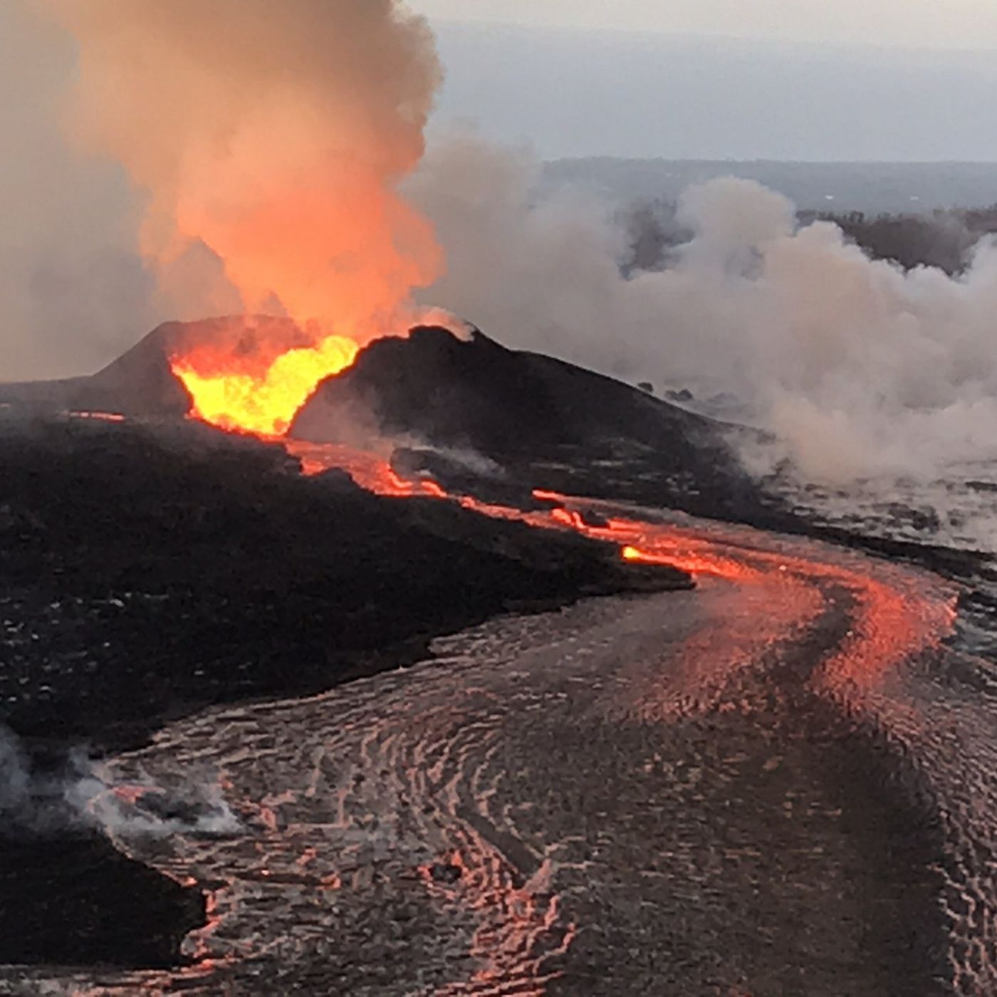Stimulus check, erupting volcanoes, and Jane Shady has a lot to say