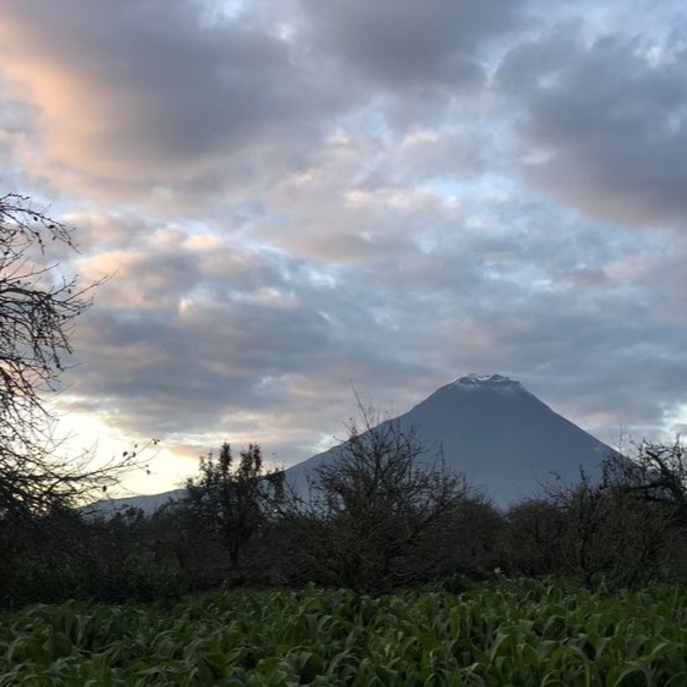 CAFÉ CON TEQUILA de Alejandra Velderrain