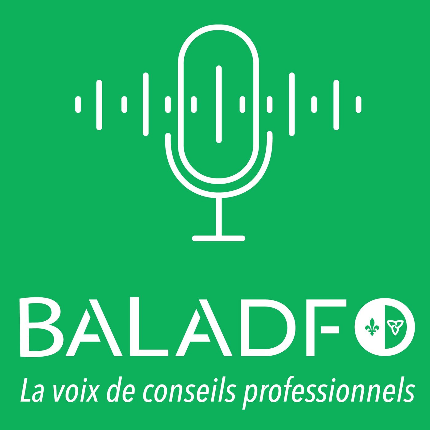 Baladfo - La voix de conseils professionnels