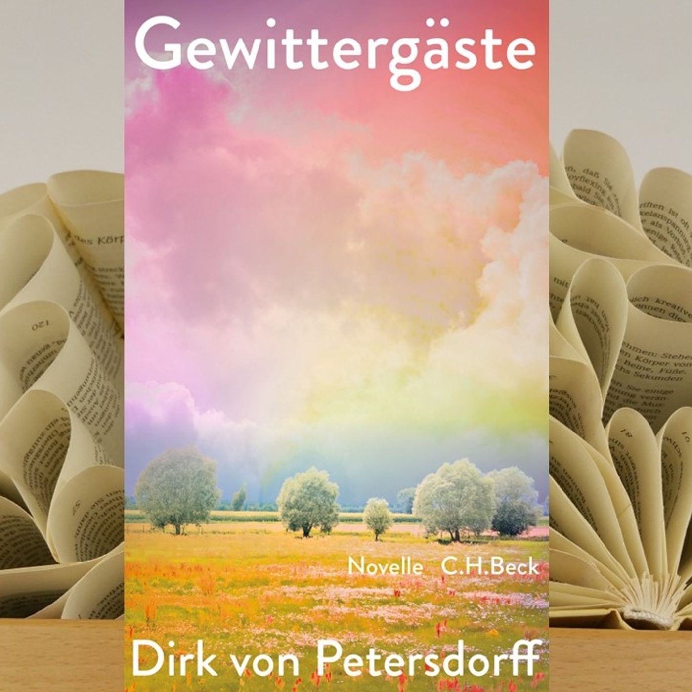 24.12. Dirk von Petersdorff - Gewittergäste (Renate Zimmermann) episode artwork