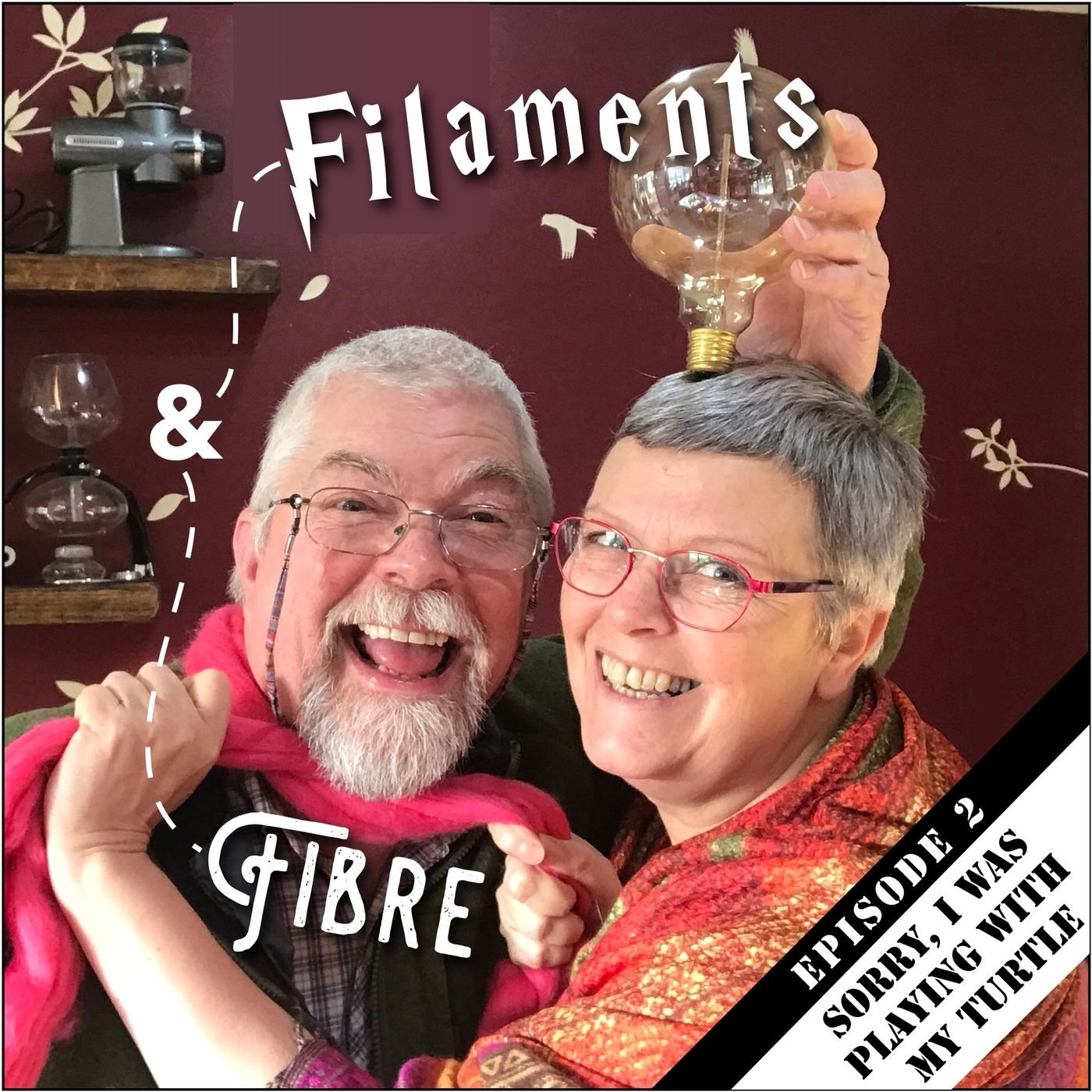 Episode 2—Filaments and Fibre—'Sorry, I was playing with my turtle' episode artwork