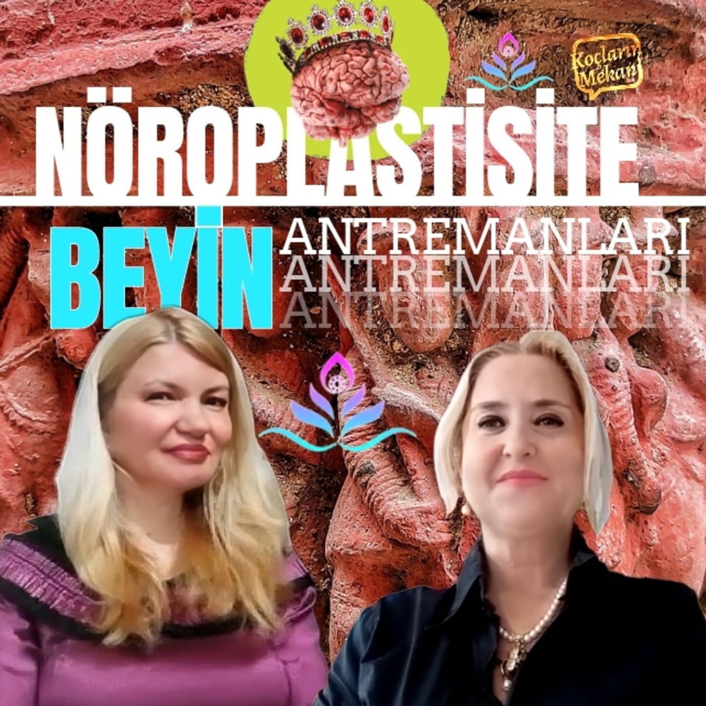 Nöroplastisite ve Beyin Antremanları episode artwork