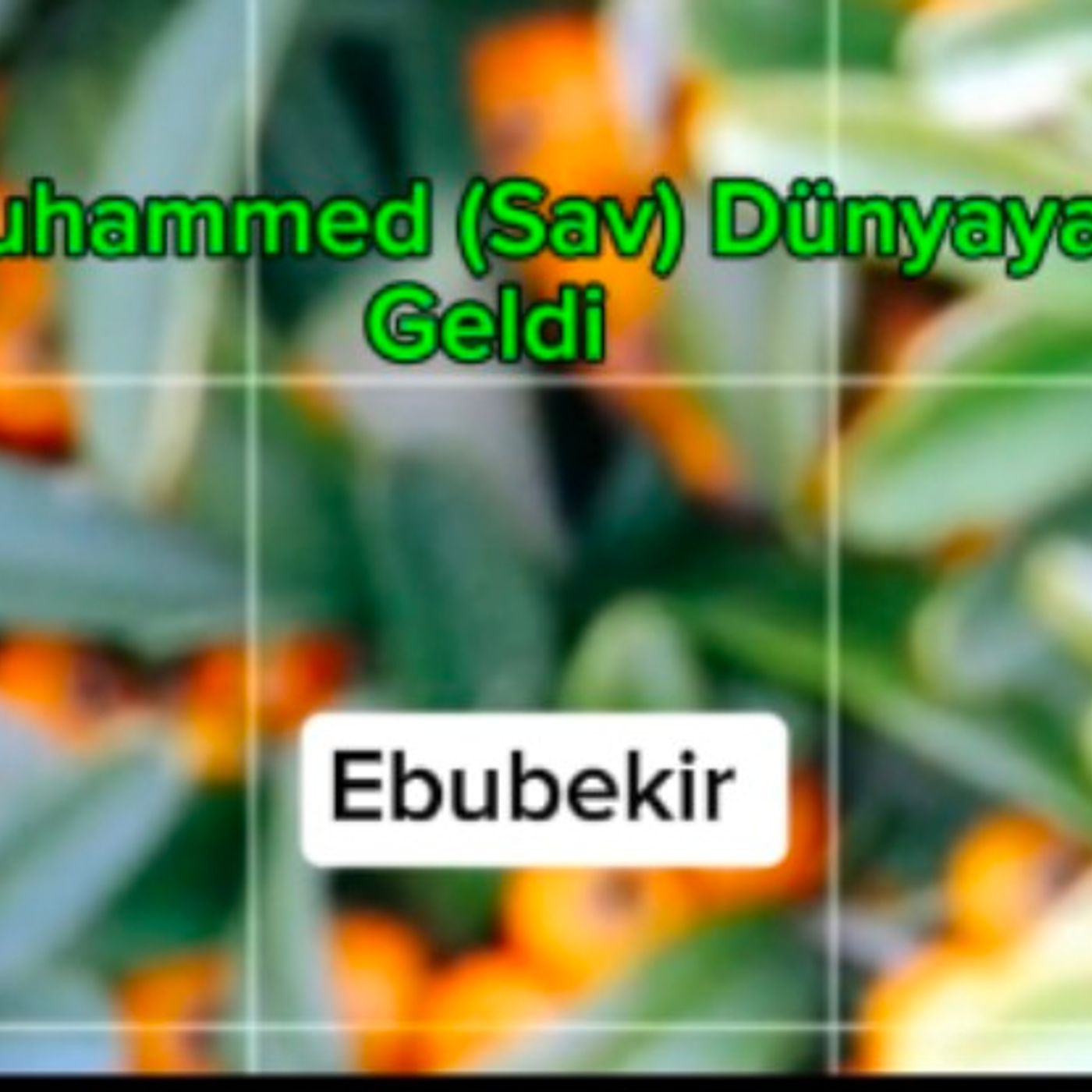 Muhammed(Sav) Dünyaya Geldi