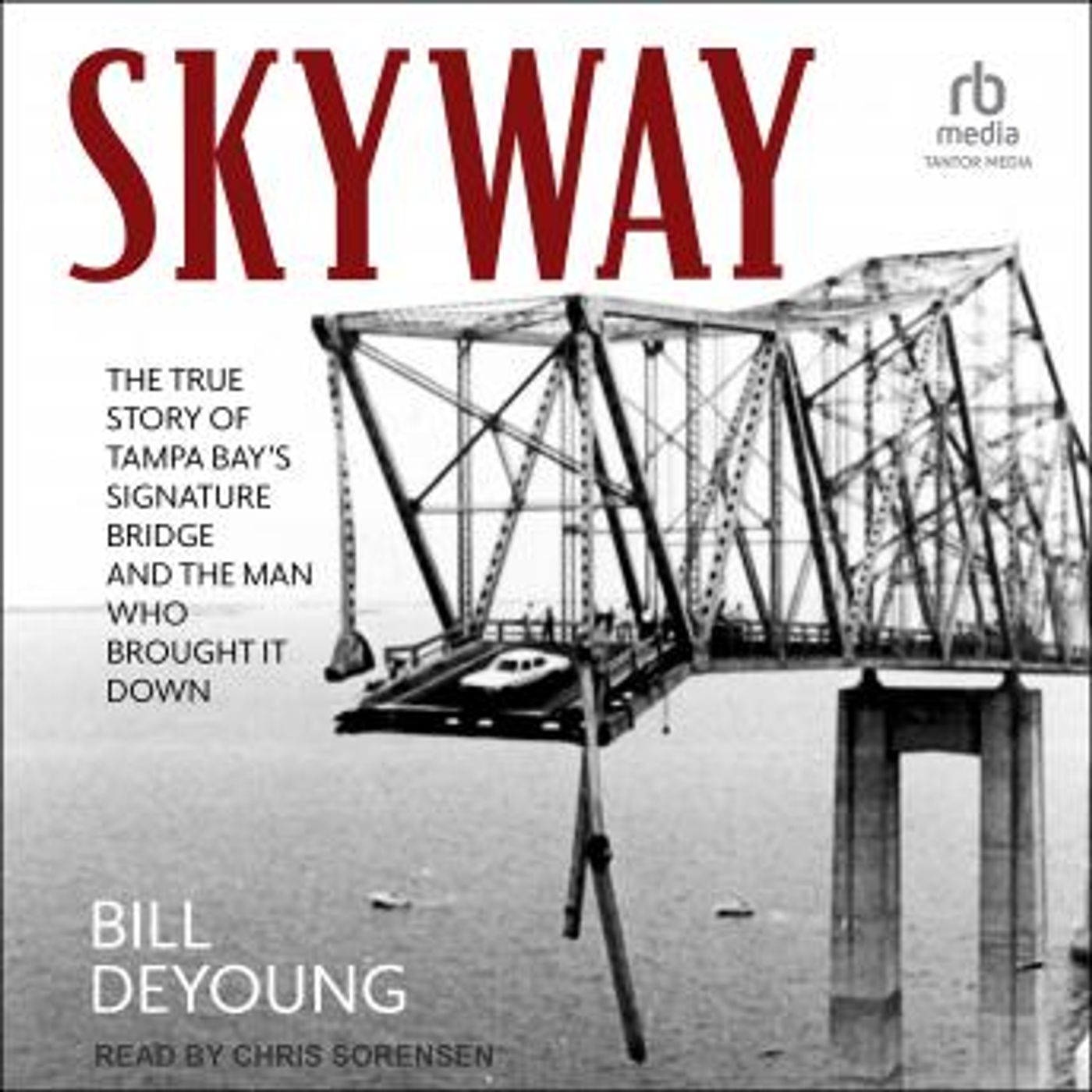Grab the Essential Full Audiobooks in Non-Fiction, Computers & Technology
