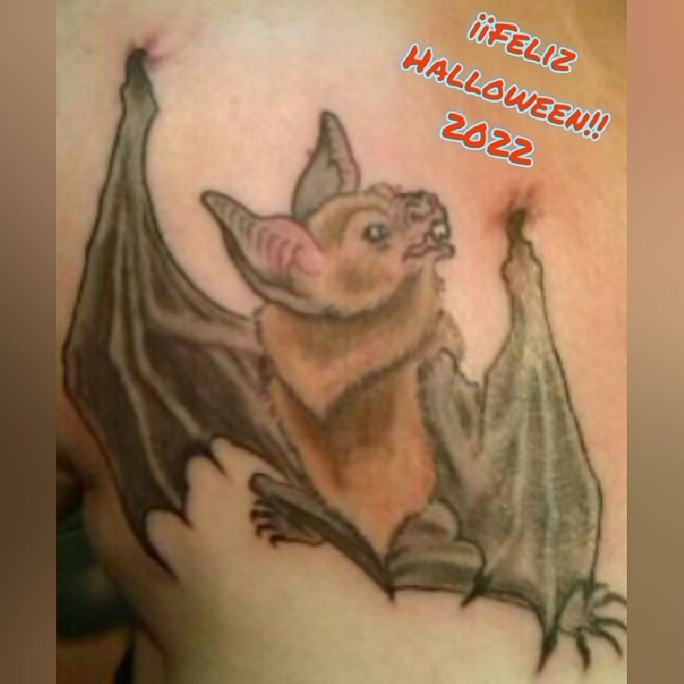 La burbuja de Nayma