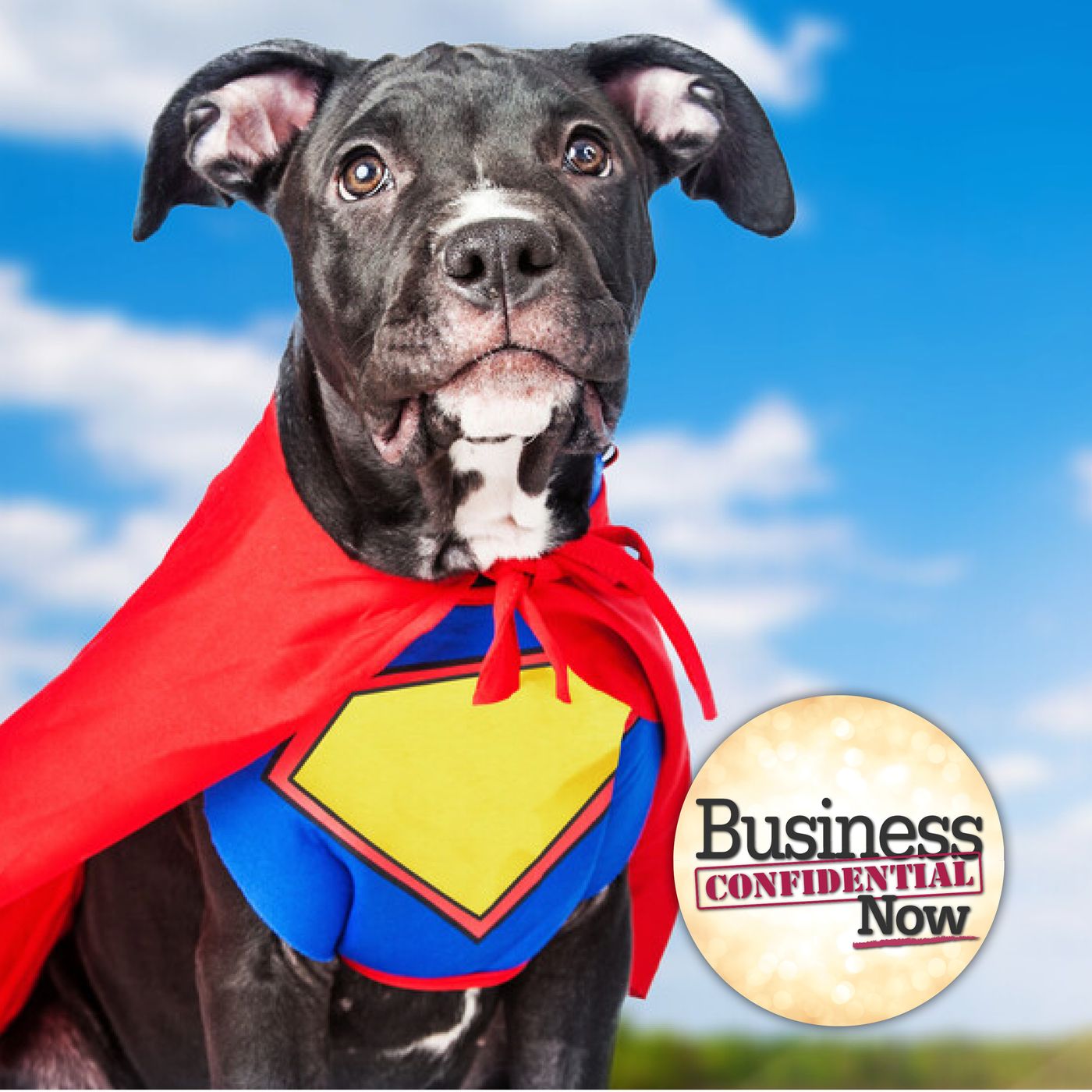 Business Confidential Now with Hanna Hasl-Kelchner