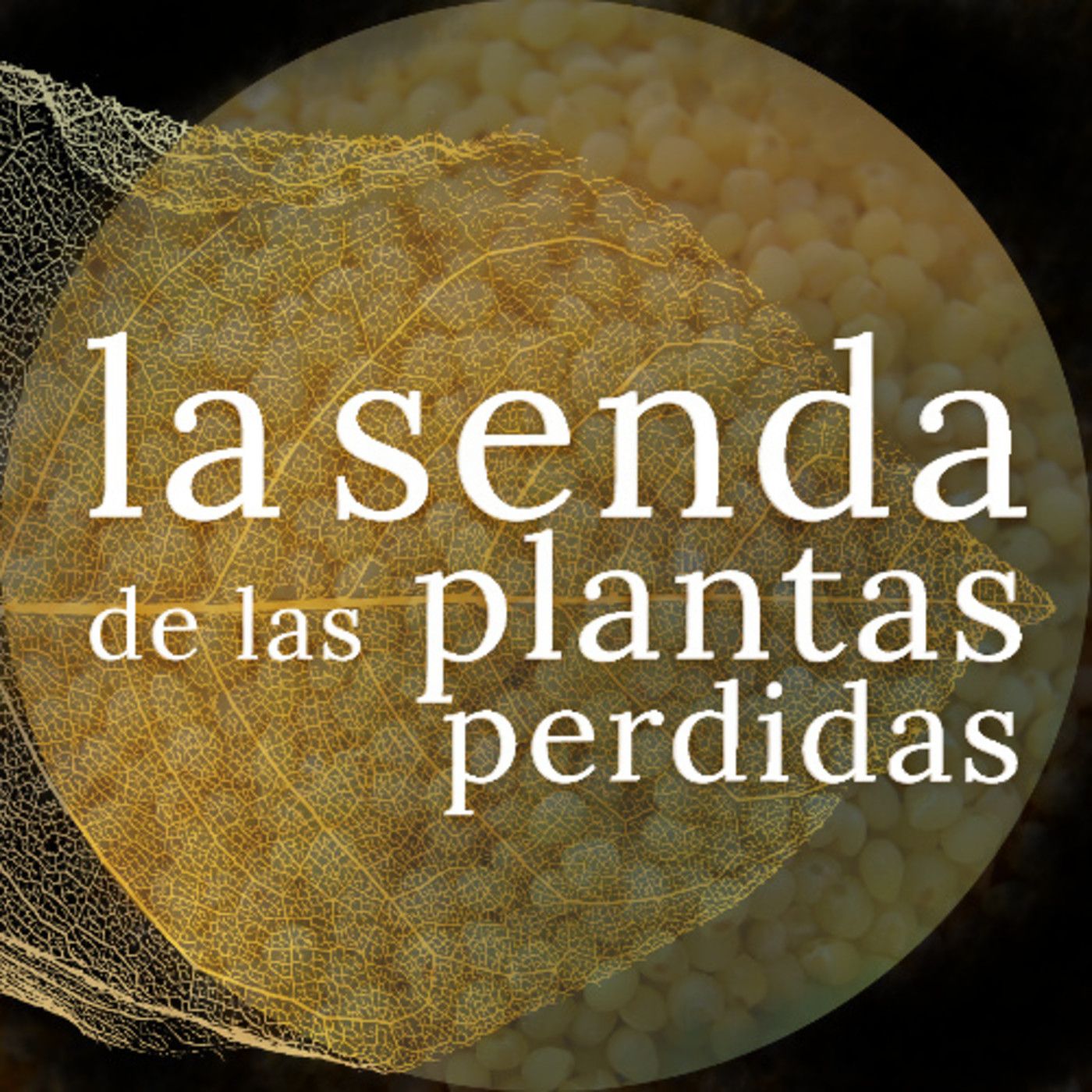 La Senda de las Plantas Perdidas