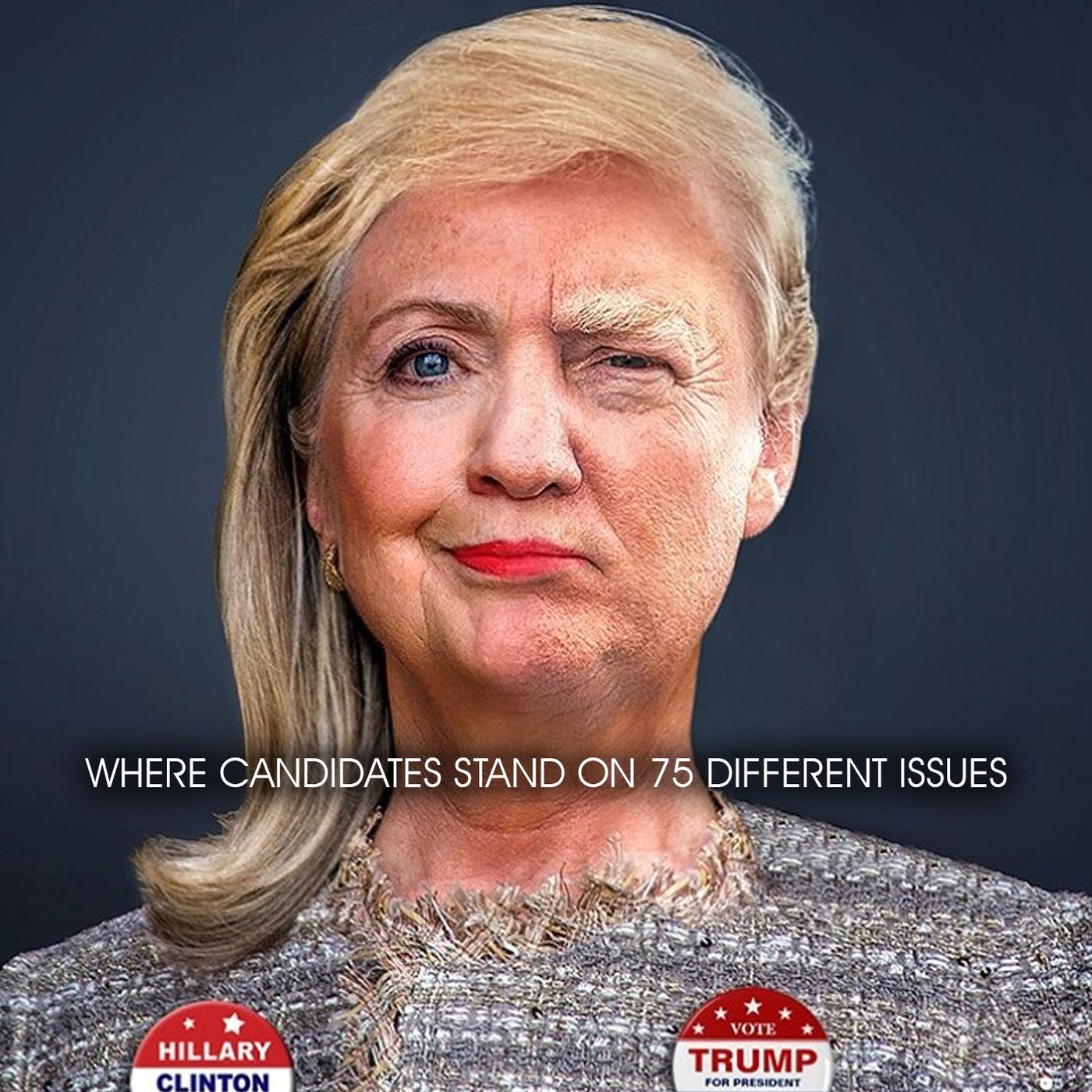 Where Candidates Stand On 75 Different Issues episode artwork