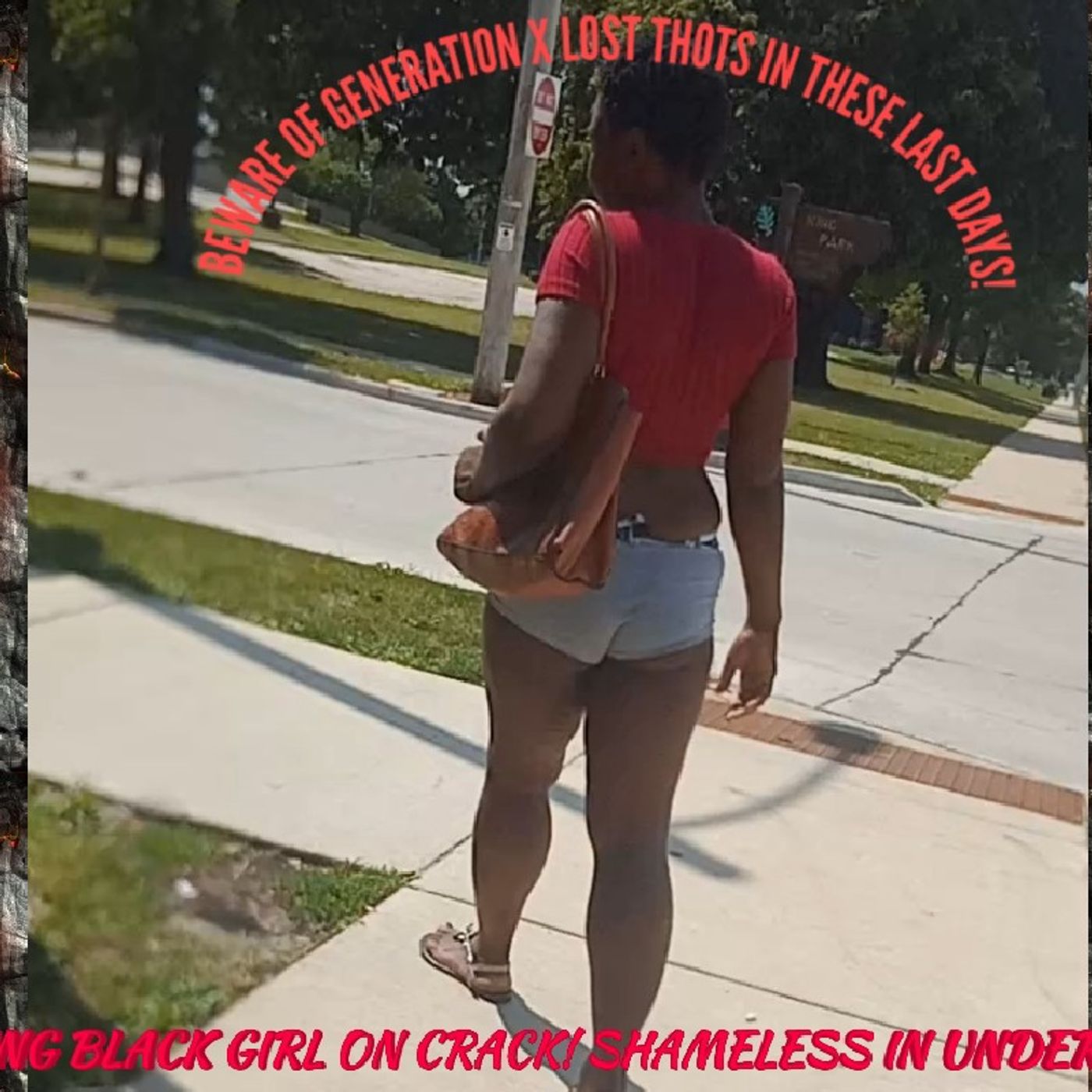 Episode 727 -THE BLACK GIRL'S R ALL ON CRACK IN THESE LAST DAYS!!(AINT NO LOVE FOR THE REAL CHOSEN MEN IN THE LAST DAYS!! ) episode artwork