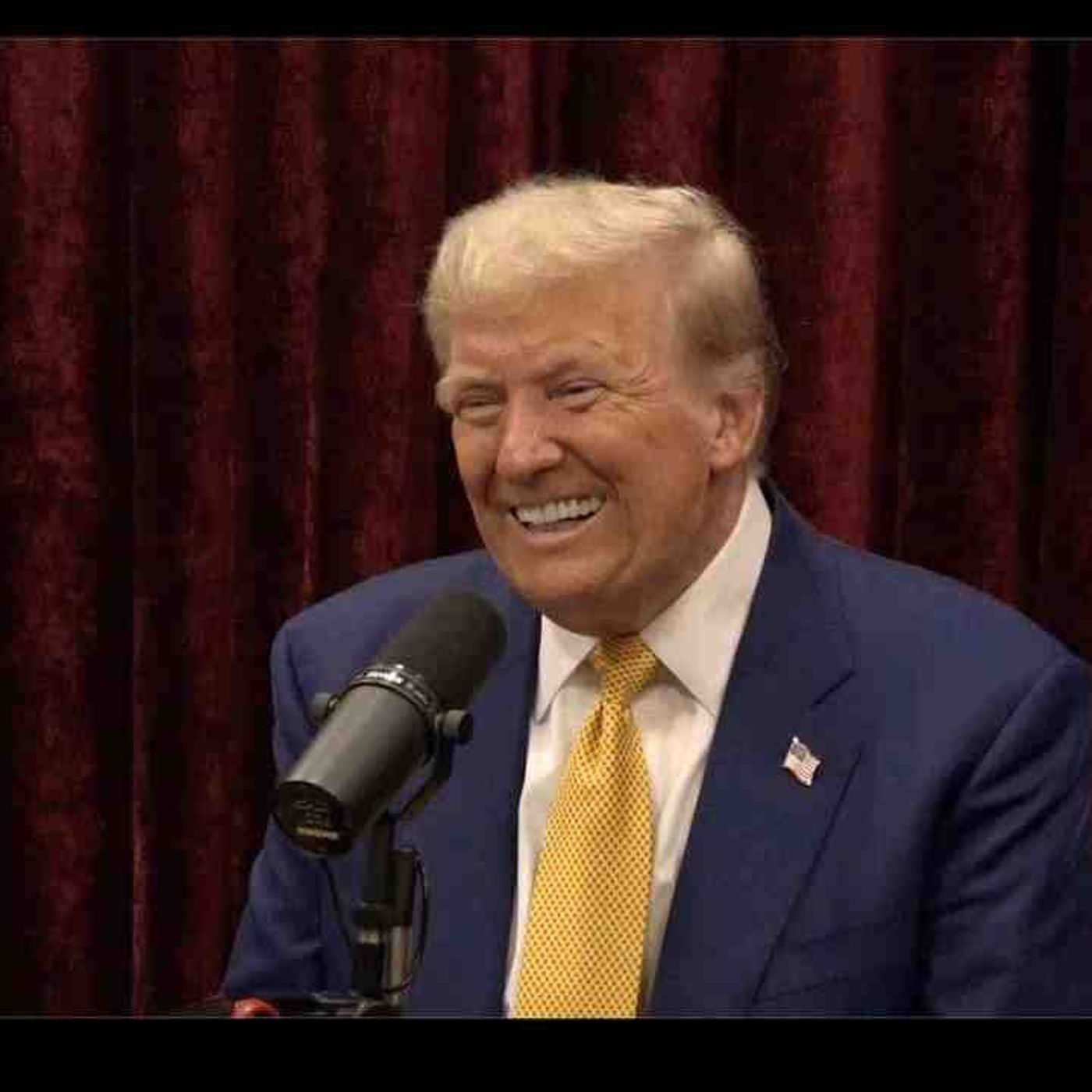 Joe Rogan Experience _2219 - Donald Trump episode artwork