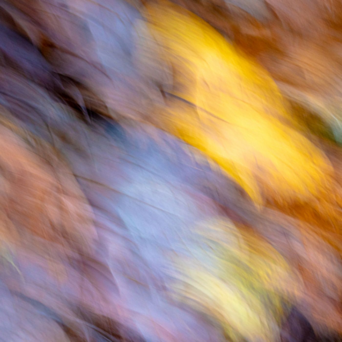 Mauro Barbacci PODCAST