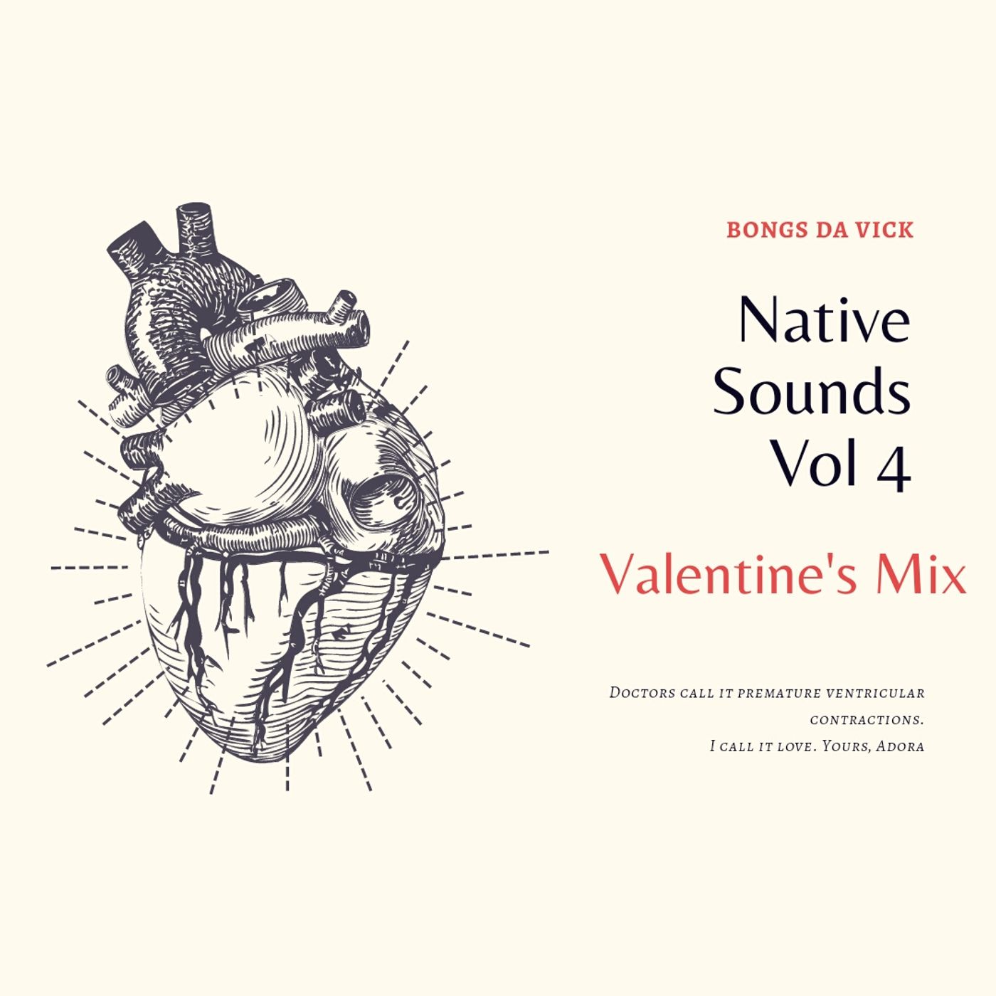 Native Sounds Vol 4 ( Valentine's Mix )