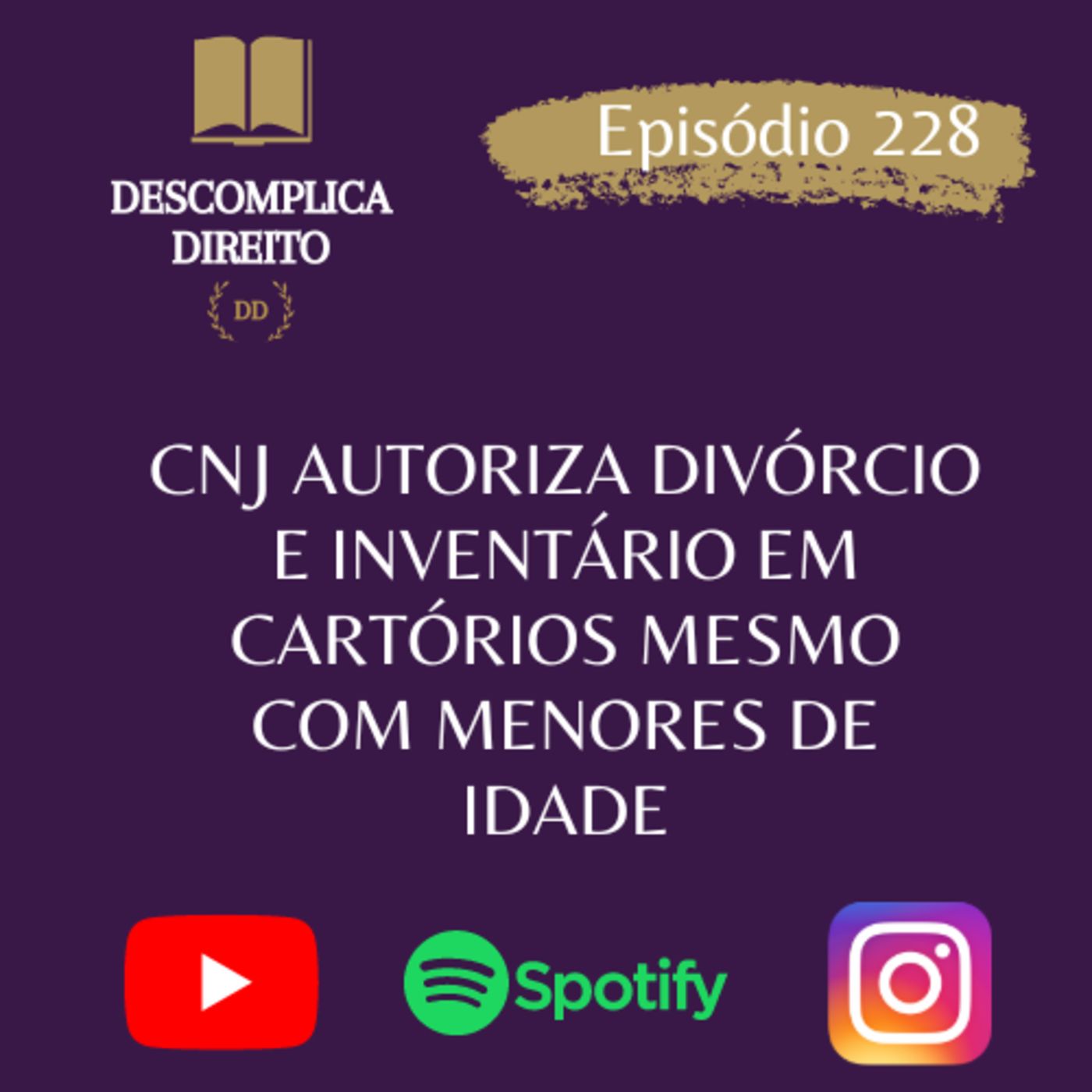 DESCOMPLICA DIREITO
