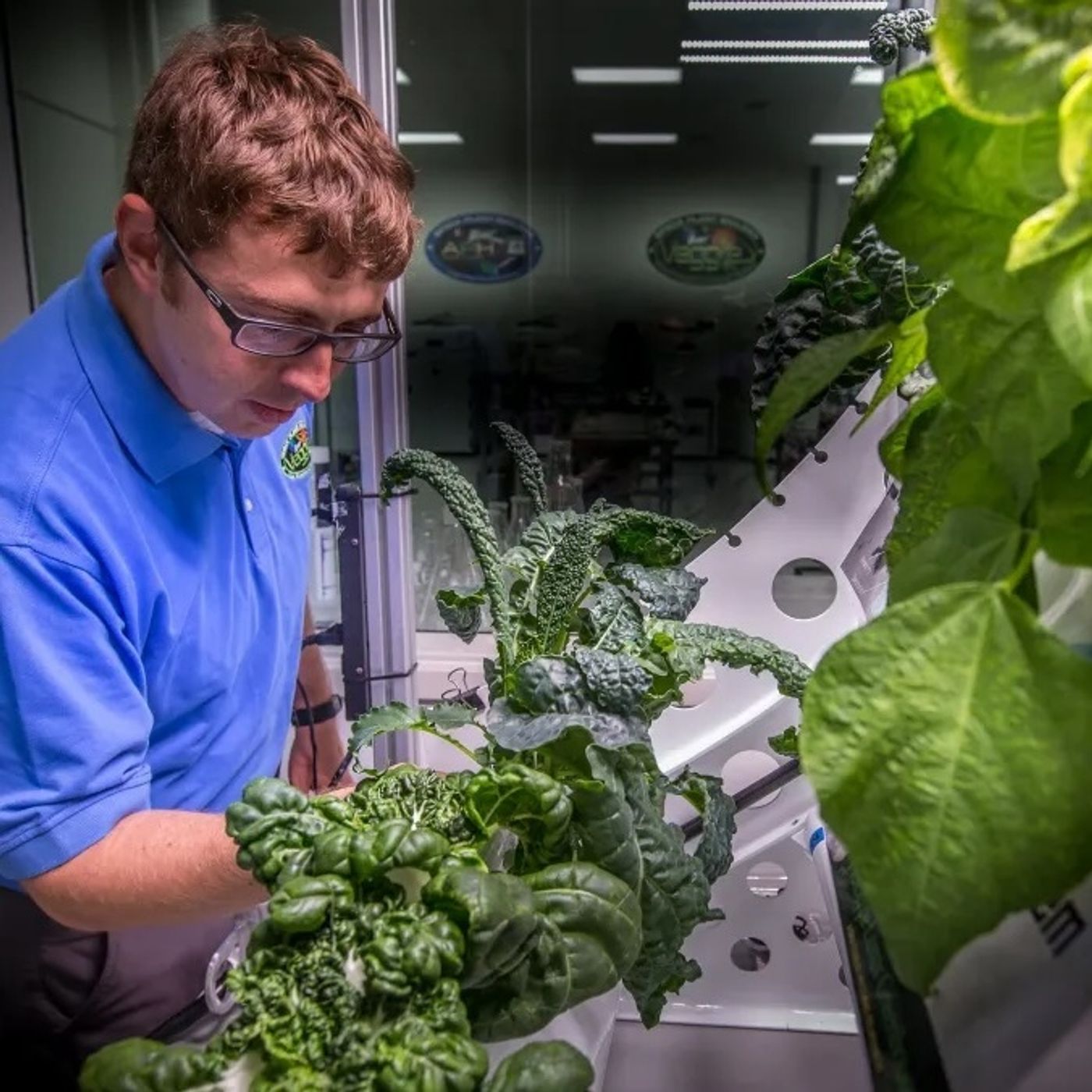 373E-407-Plant Companionship