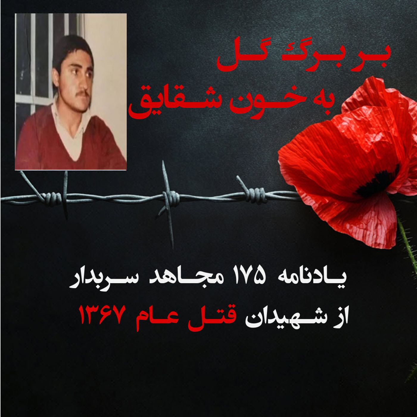 بربرگ گل به خون شقایق- حمید جلالی