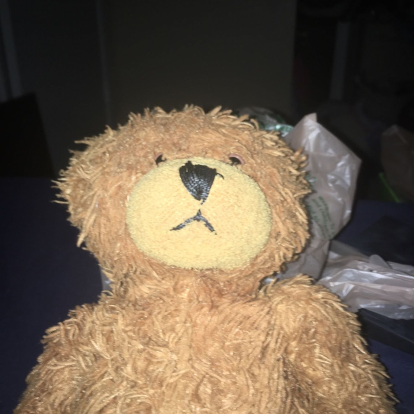 Bearcast