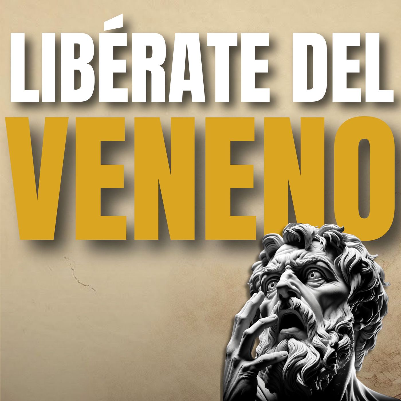 Portada de Estoicismo para Ganadores