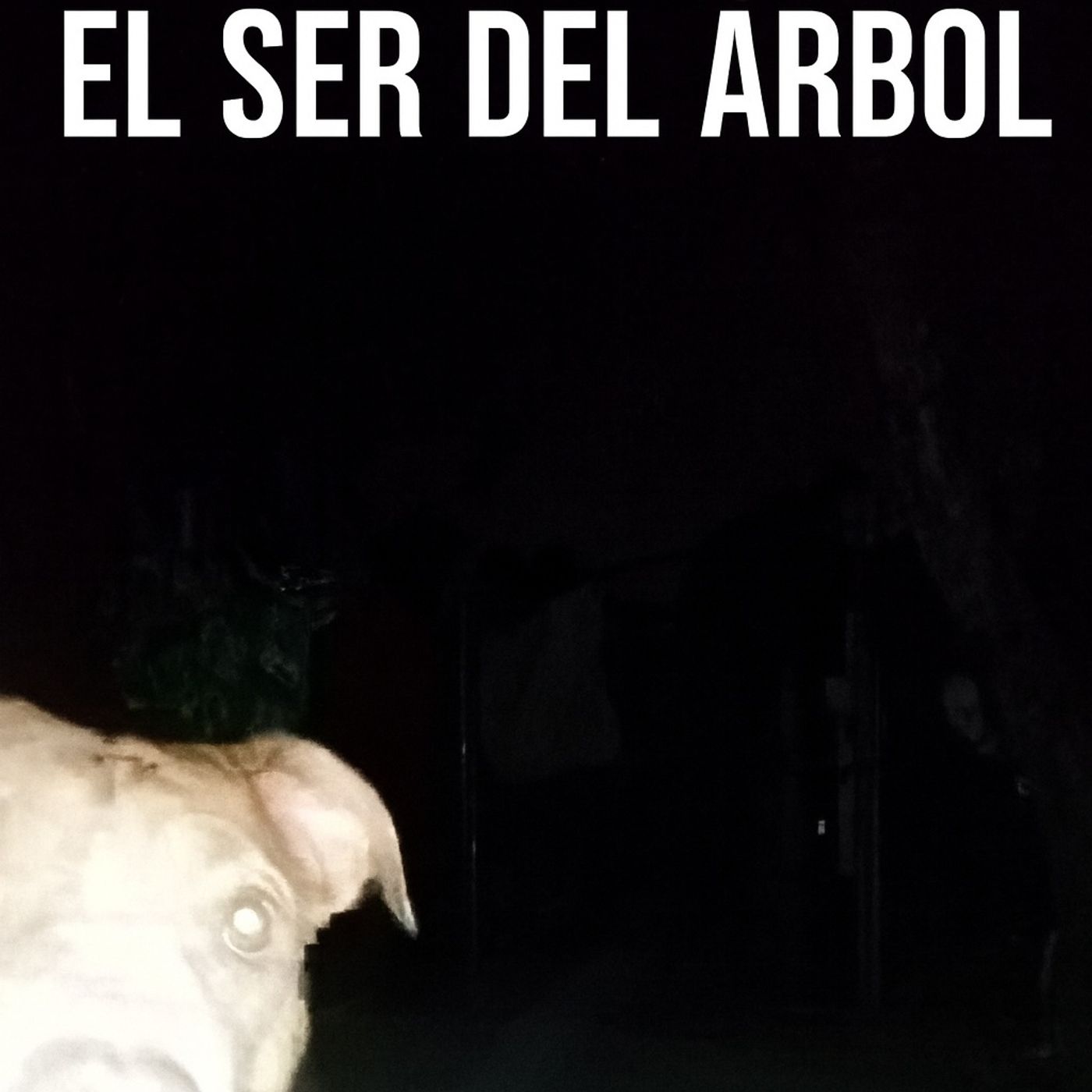 Historias de Miedo Octubre 28 de 2025 EL SER DEL ARBOL