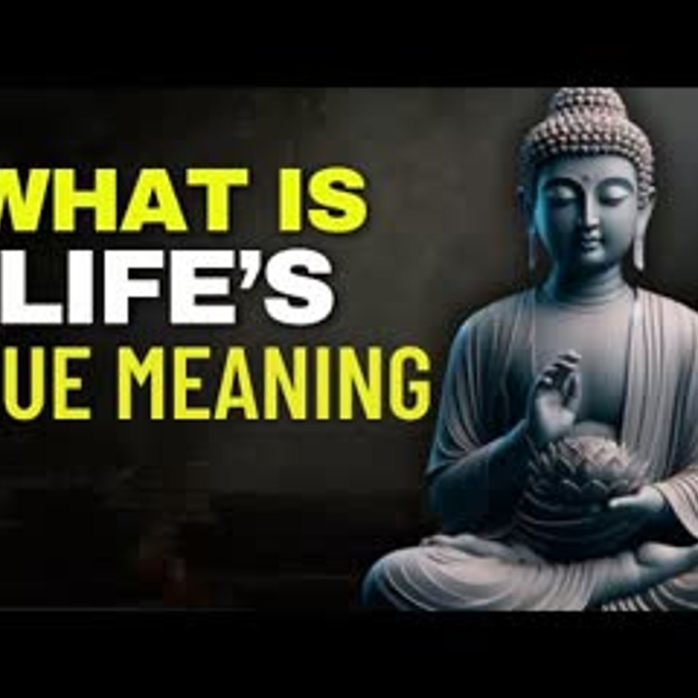 What is Life's true meaning    Buddhist Wisdom   Buddhism in English