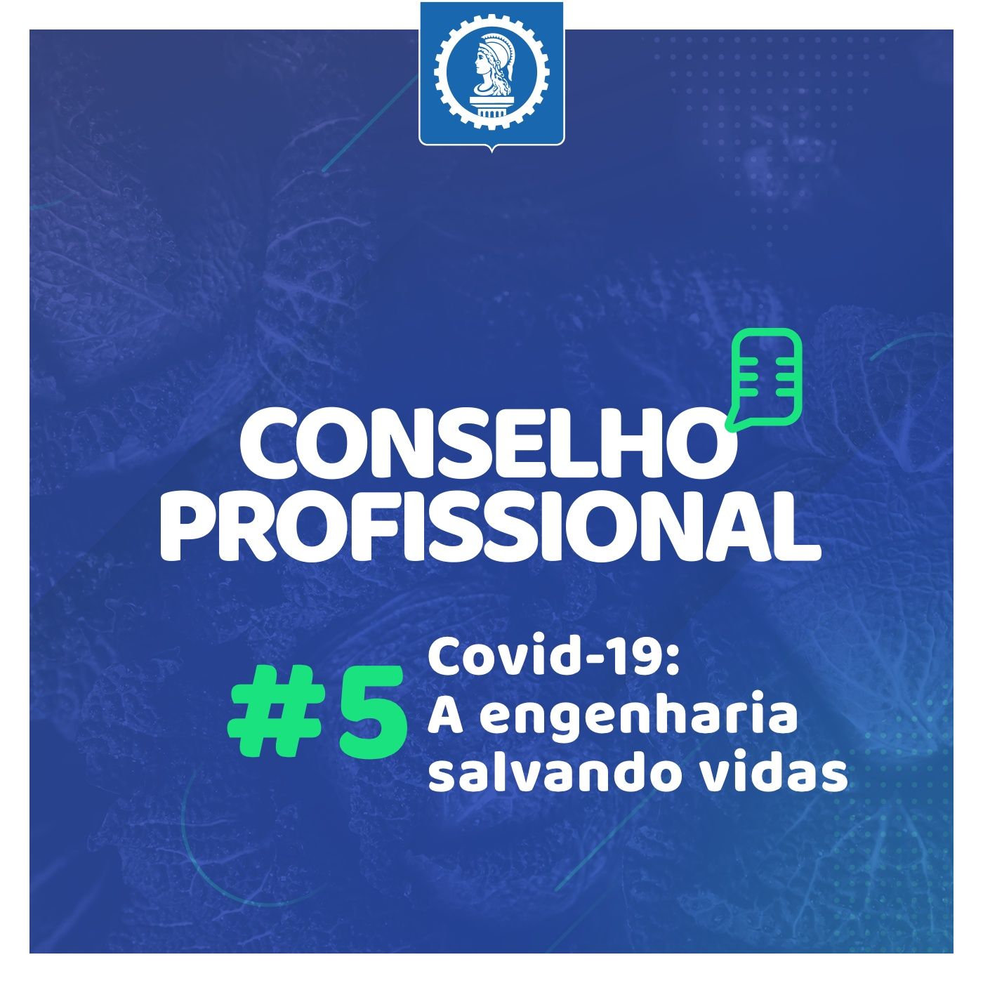 Conselho Profissional