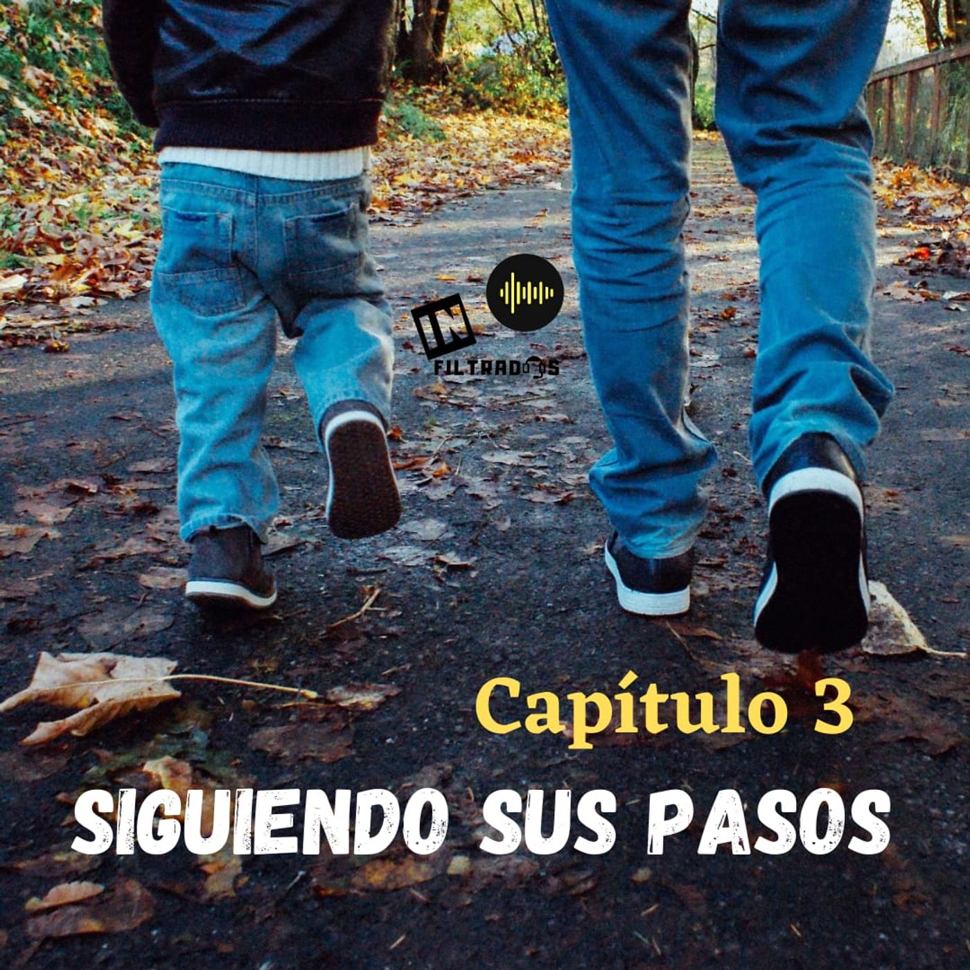 3 Siguiendo sus Pasos episode artwork