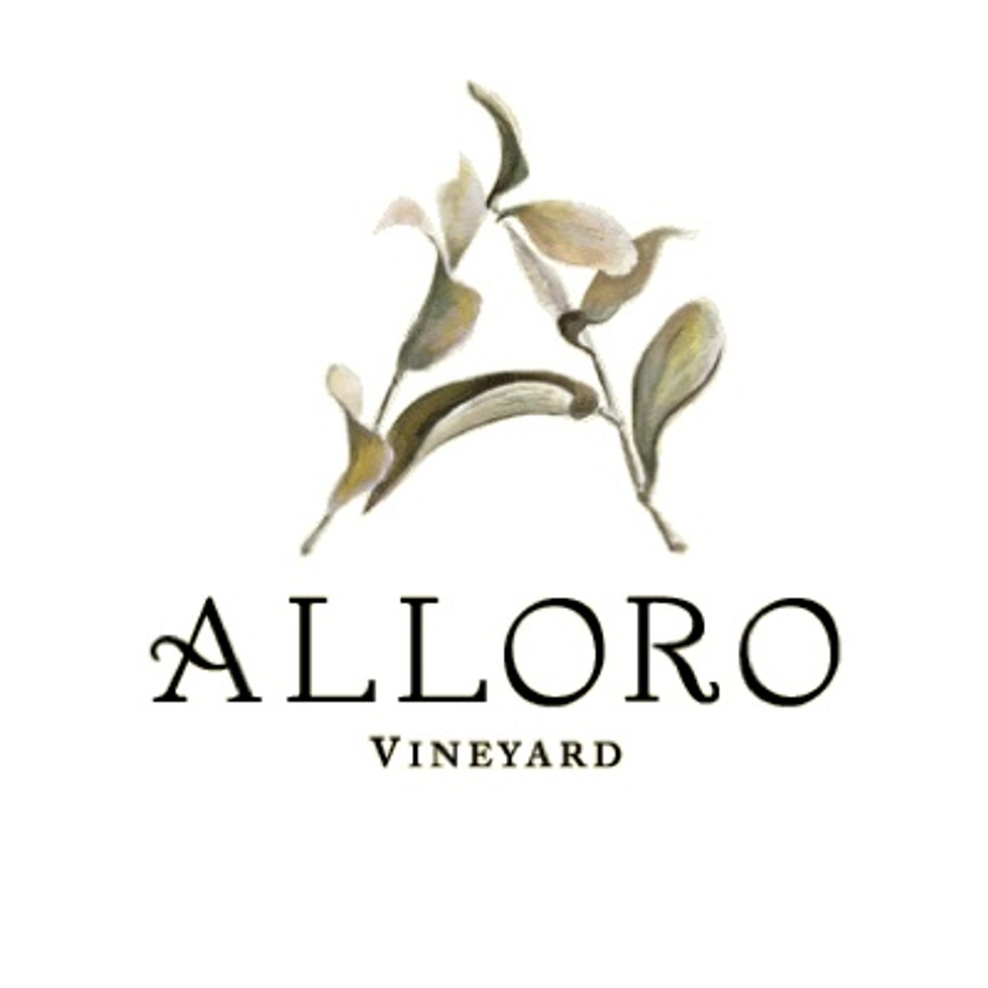 Alloro Vineyard - David Nemarnik