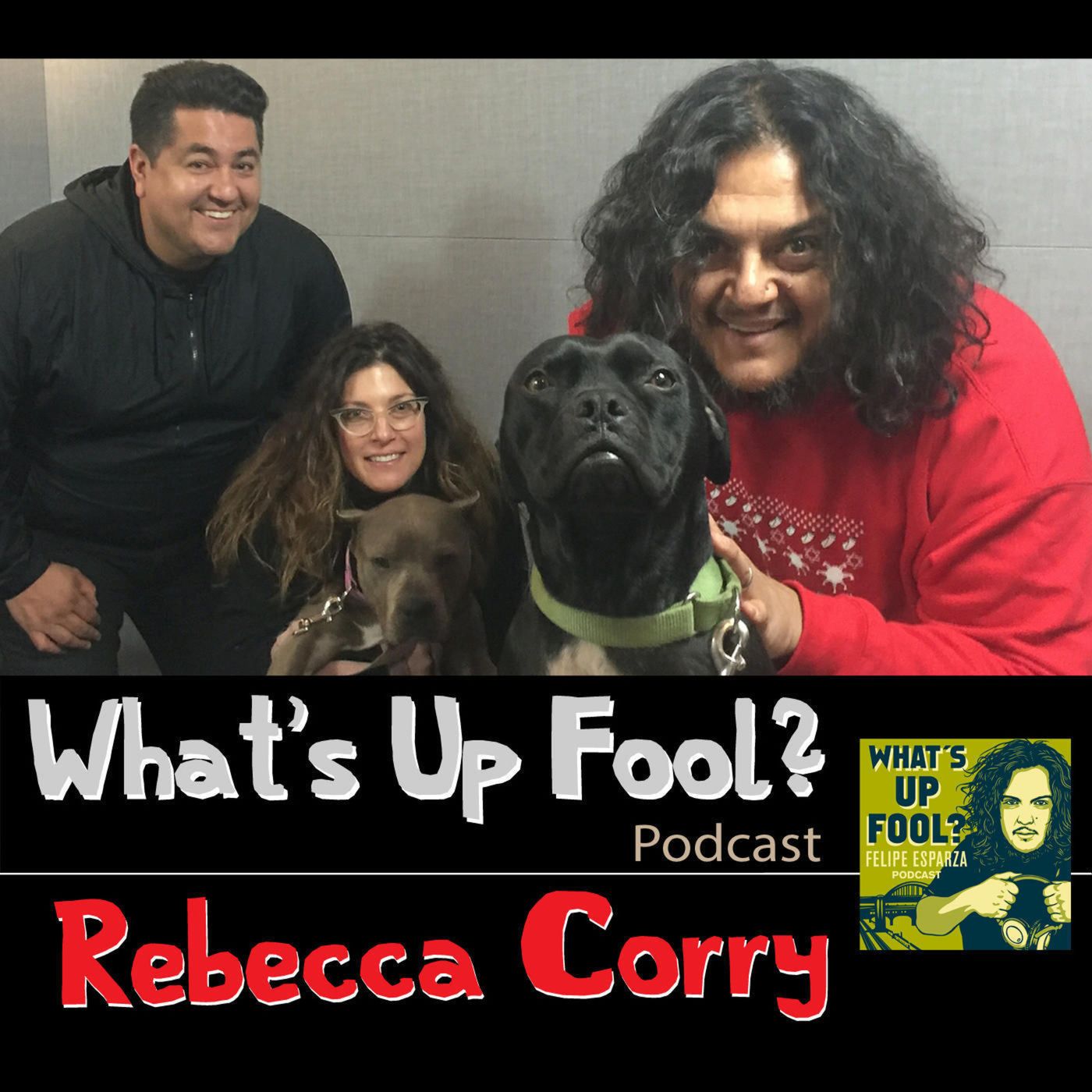 What\'s Up Fool? Podcast