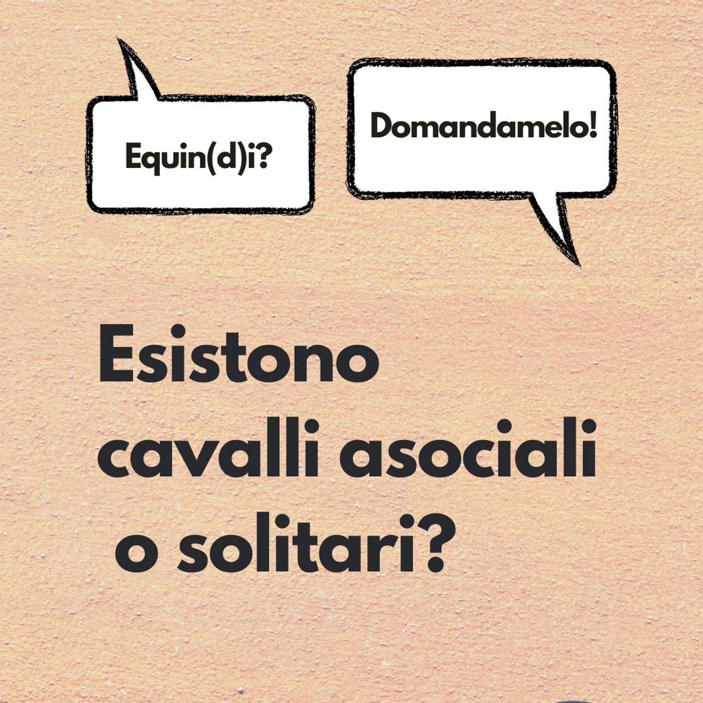 Etologia Equina, il comportamento del cavallo