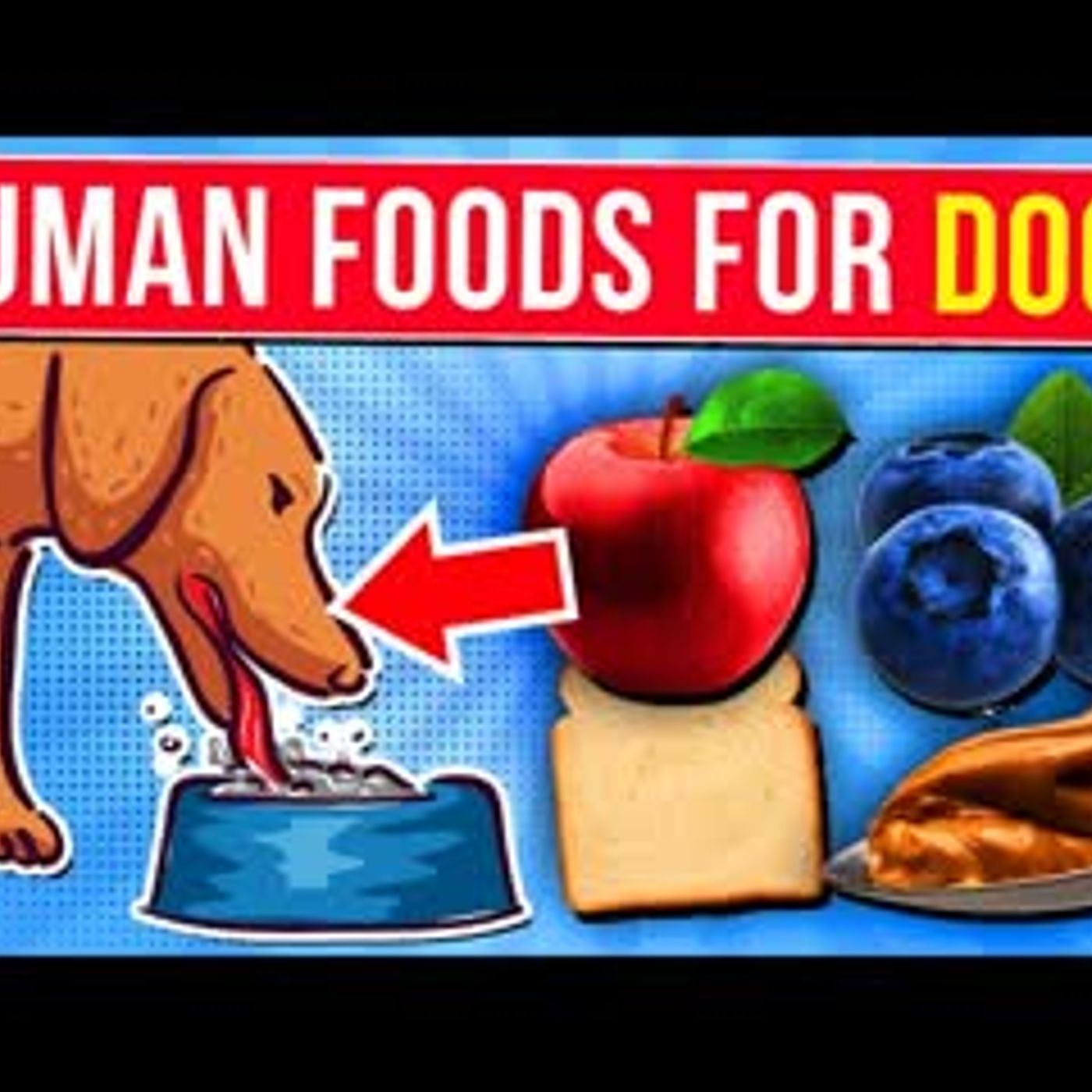 14 HEALTHY Human Foods You Can SHARE With Your Dog! episode artwork