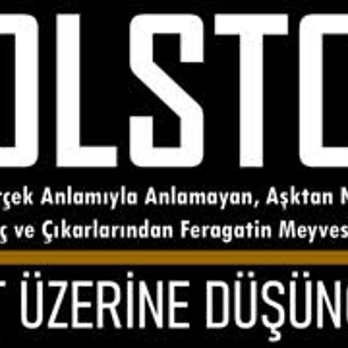 Hayat Üzerine Düşünceler Aşk  TOLSTOY sesli yazı