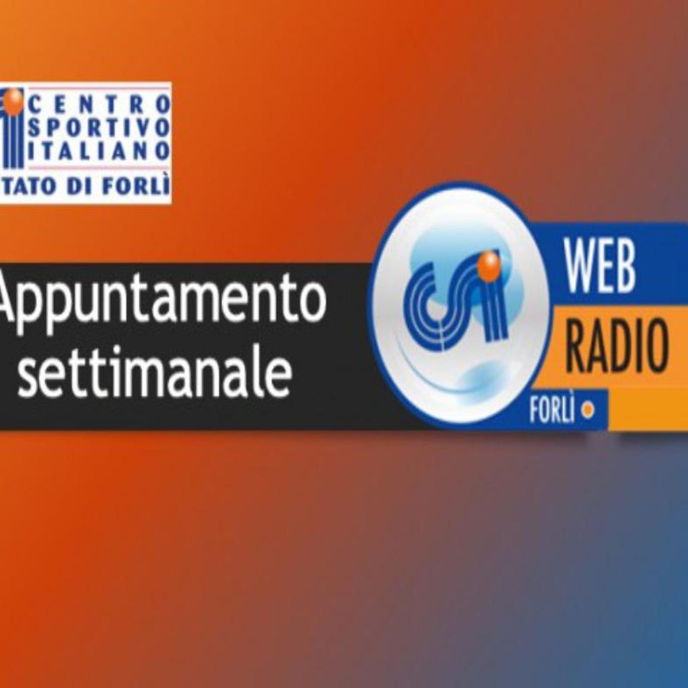 RADIO CSI FORLI\'