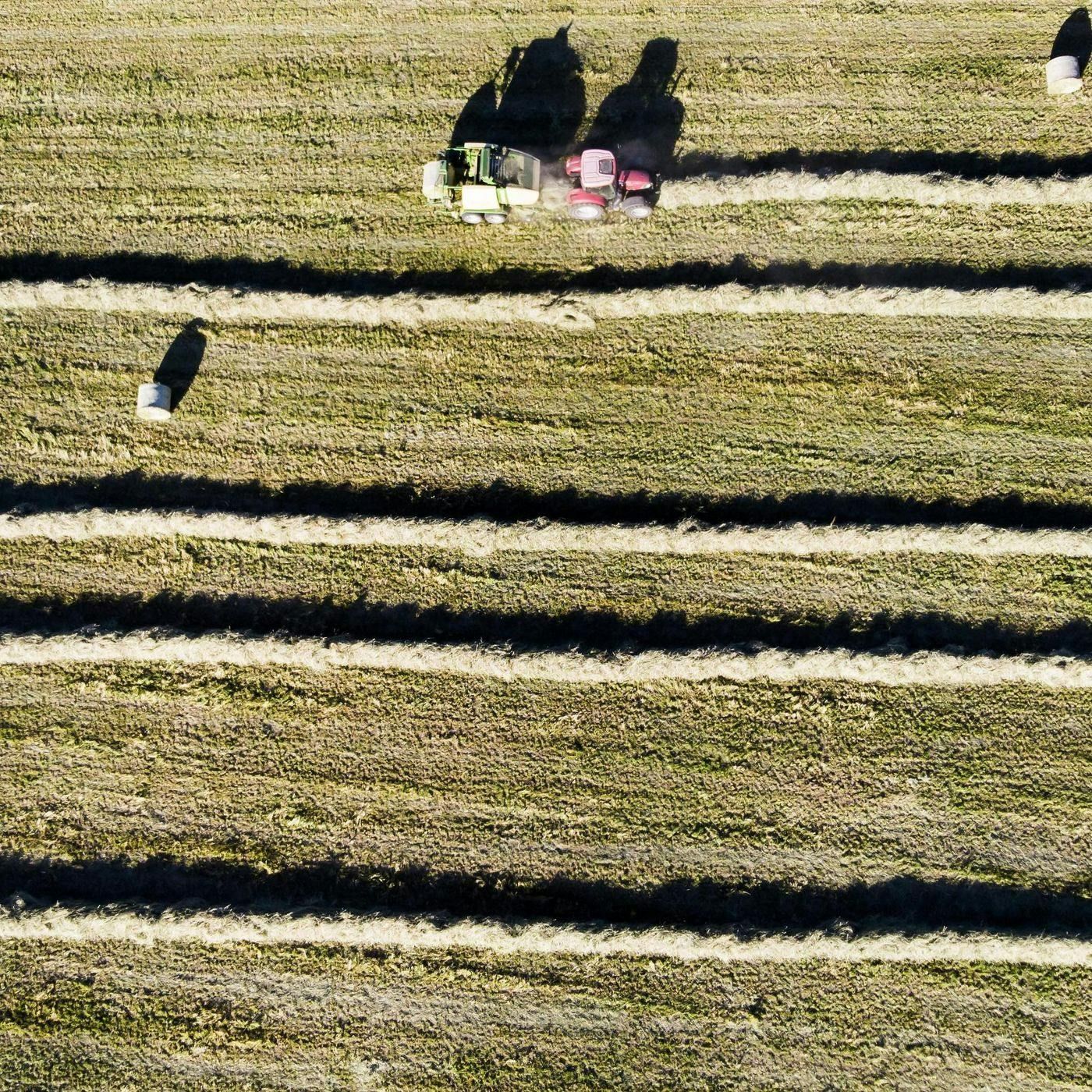 Ecco i nuovi agricoltori, hi tech, sostenibili e felici episode artwork