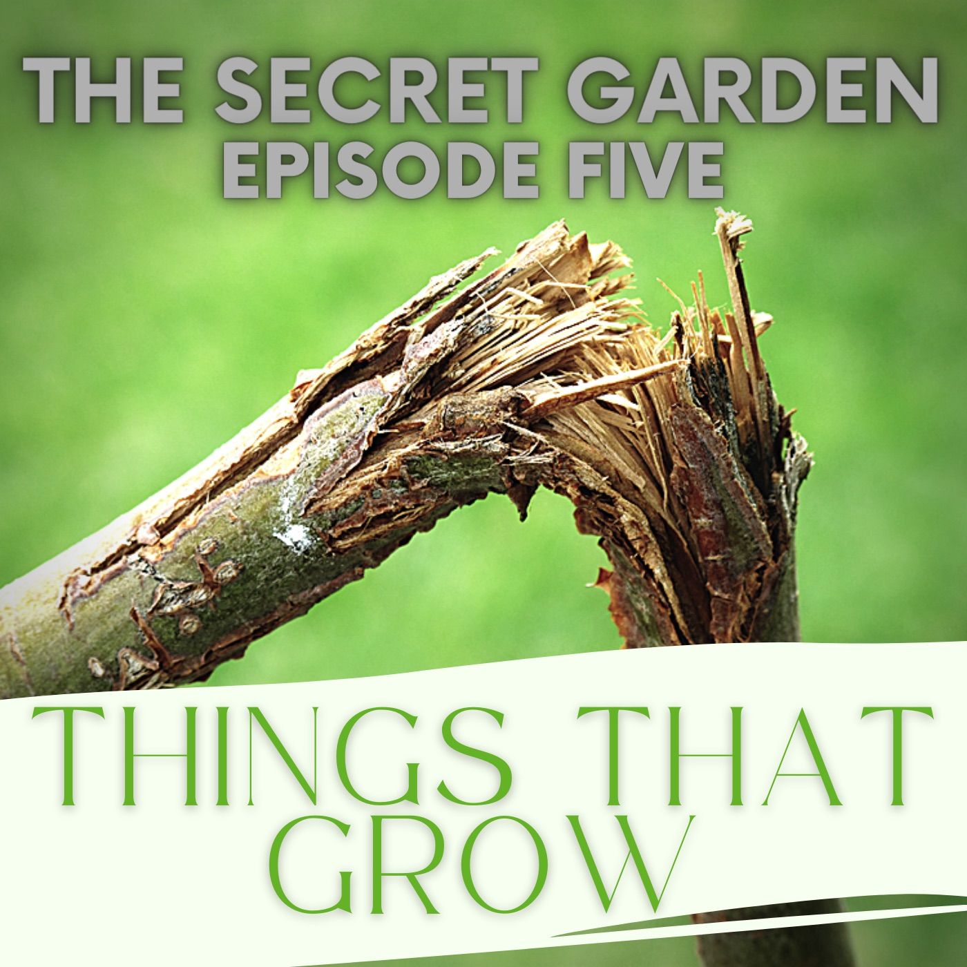 5. Things That Grow