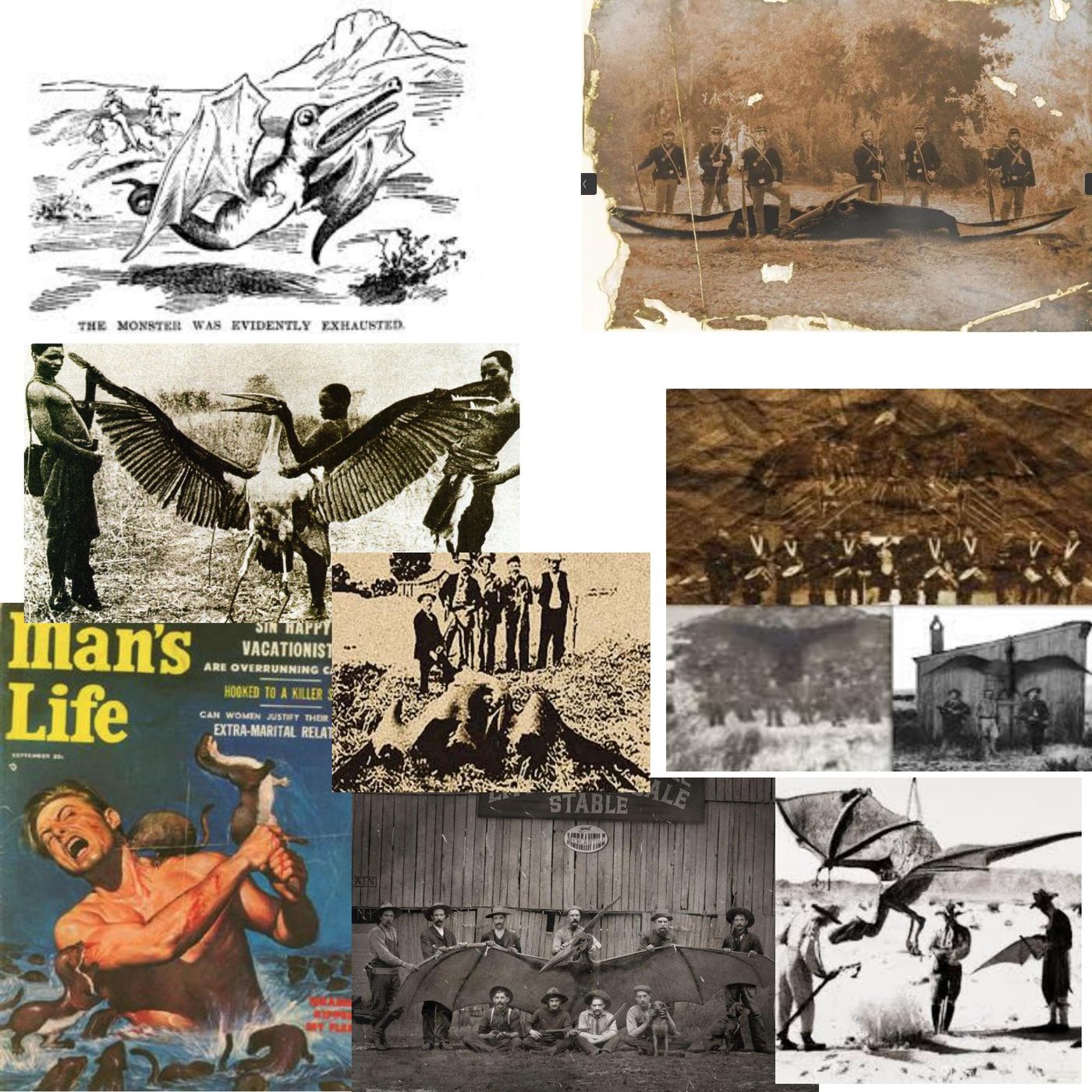 S05E14 The Case of the Missing Thunderbird Photo