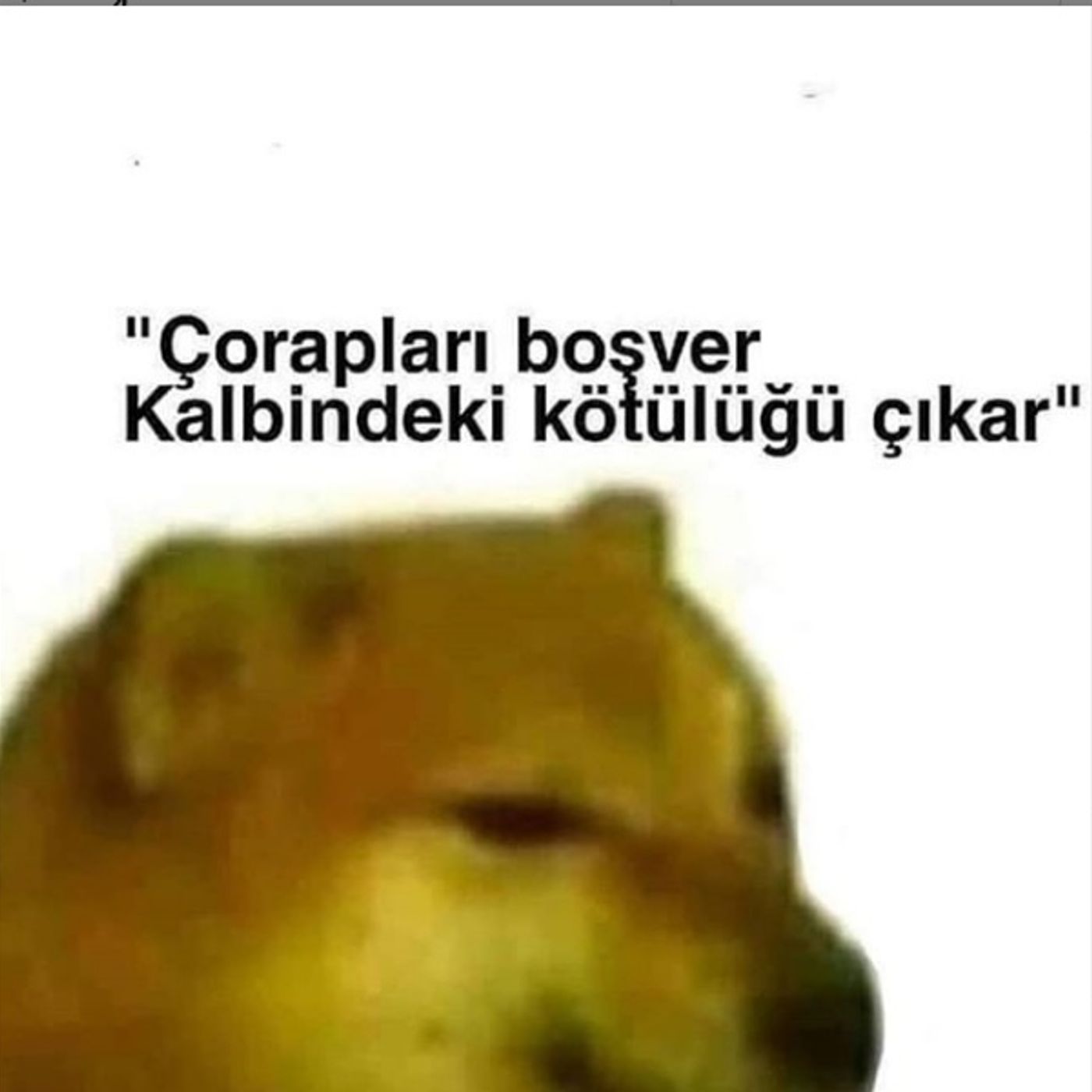 tesekkurler hayatıma