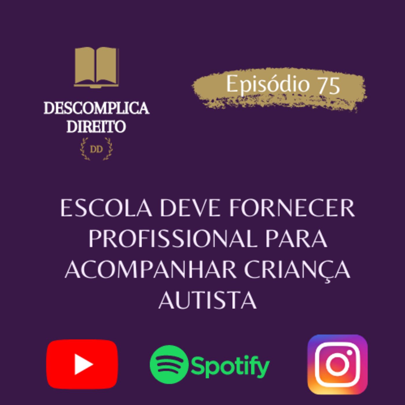 DESCOMPLICA DIREITO