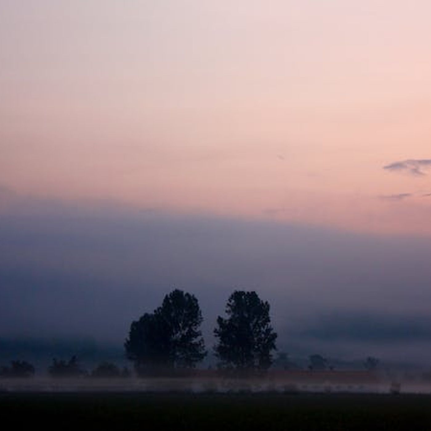 How Should I Handle My Regrets?