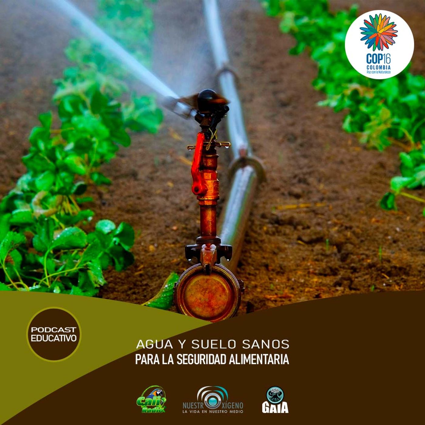 NUESTRO OXÍGENO Agua y suelo sanos para la seguridad alimentaria episode artwork