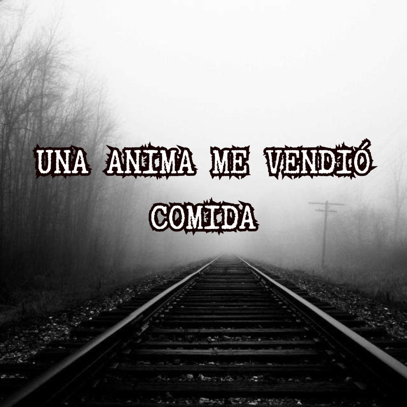 MI ENCUENTRO CON UNA ÁNIMA