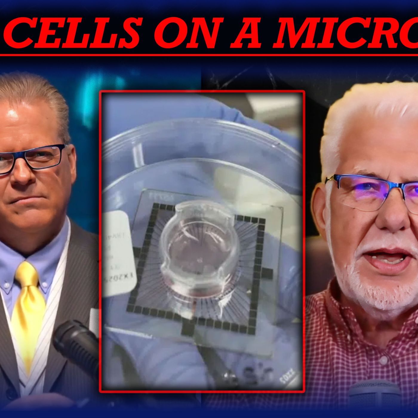 Human Brain Cells on a Microchip? The Future of Biological Computing