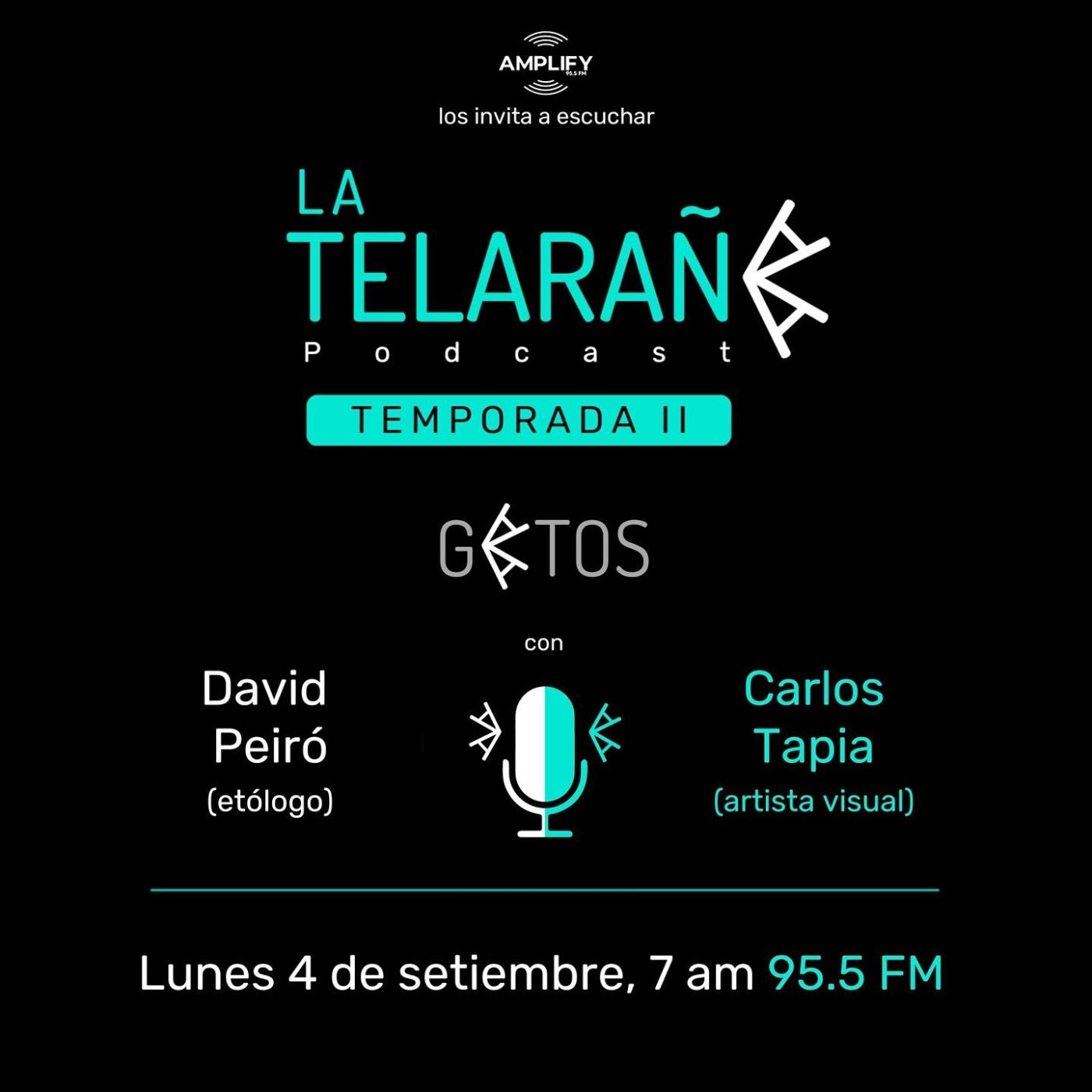 Portada de La Telaraña