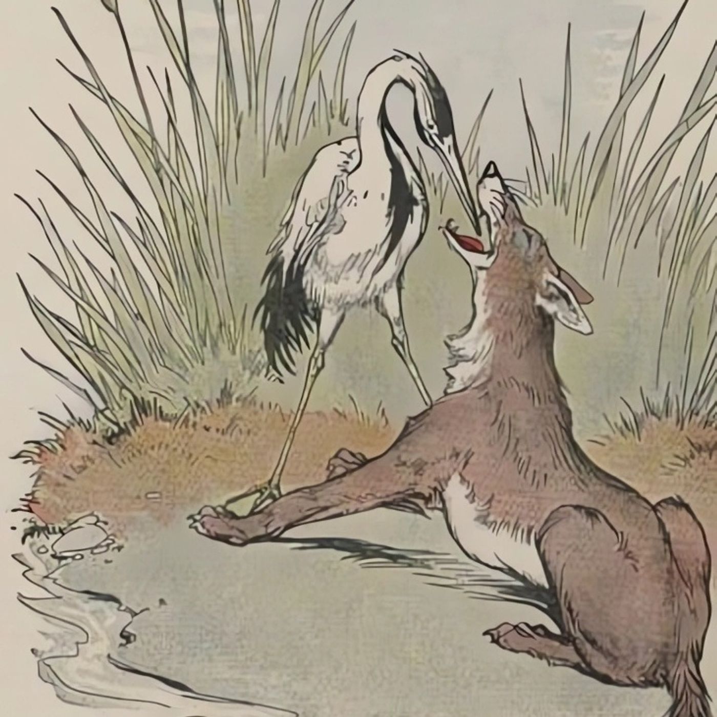 De Wolf en de Kraanvogel | Aesopus Fabels episode artwork