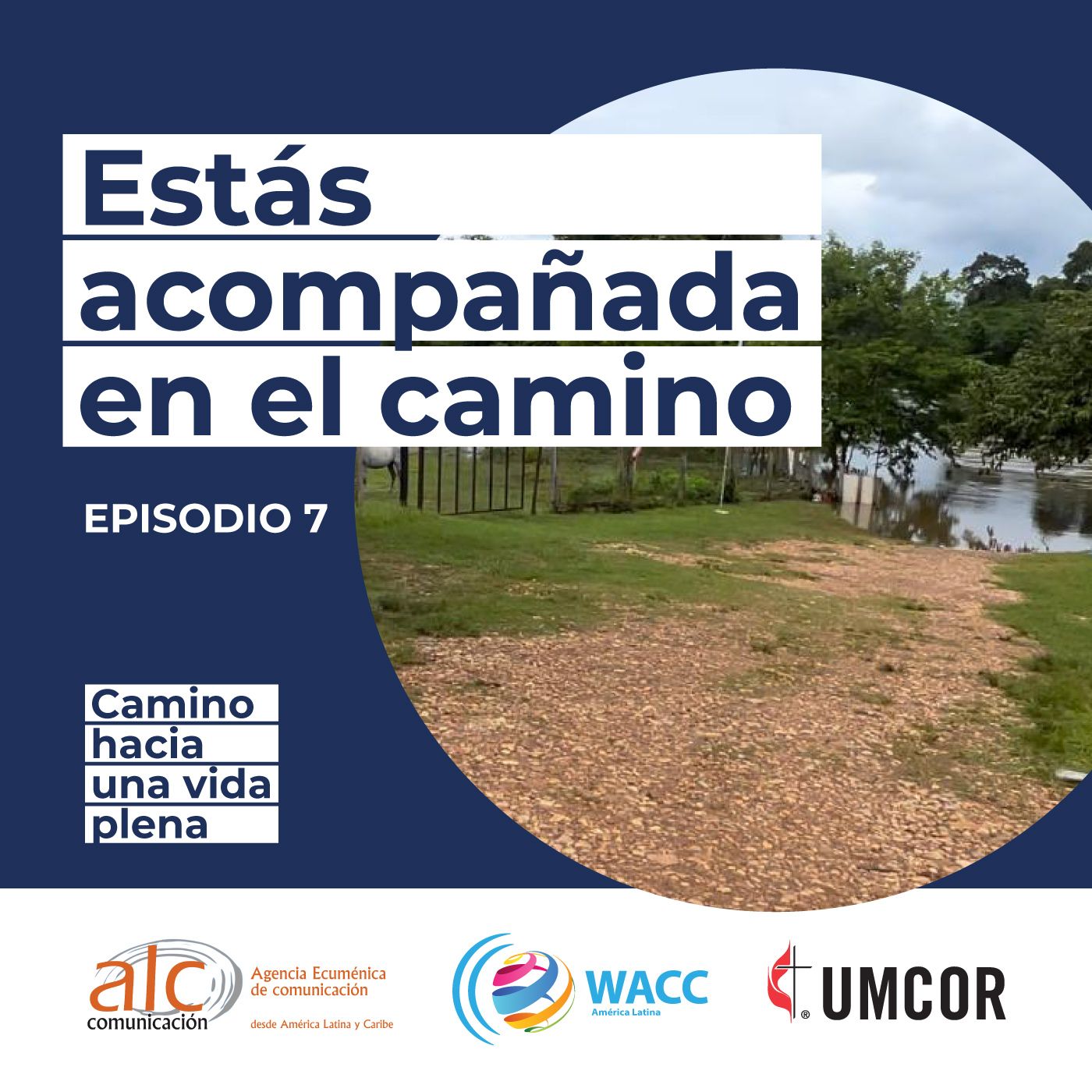 Camino hacia una vida plena