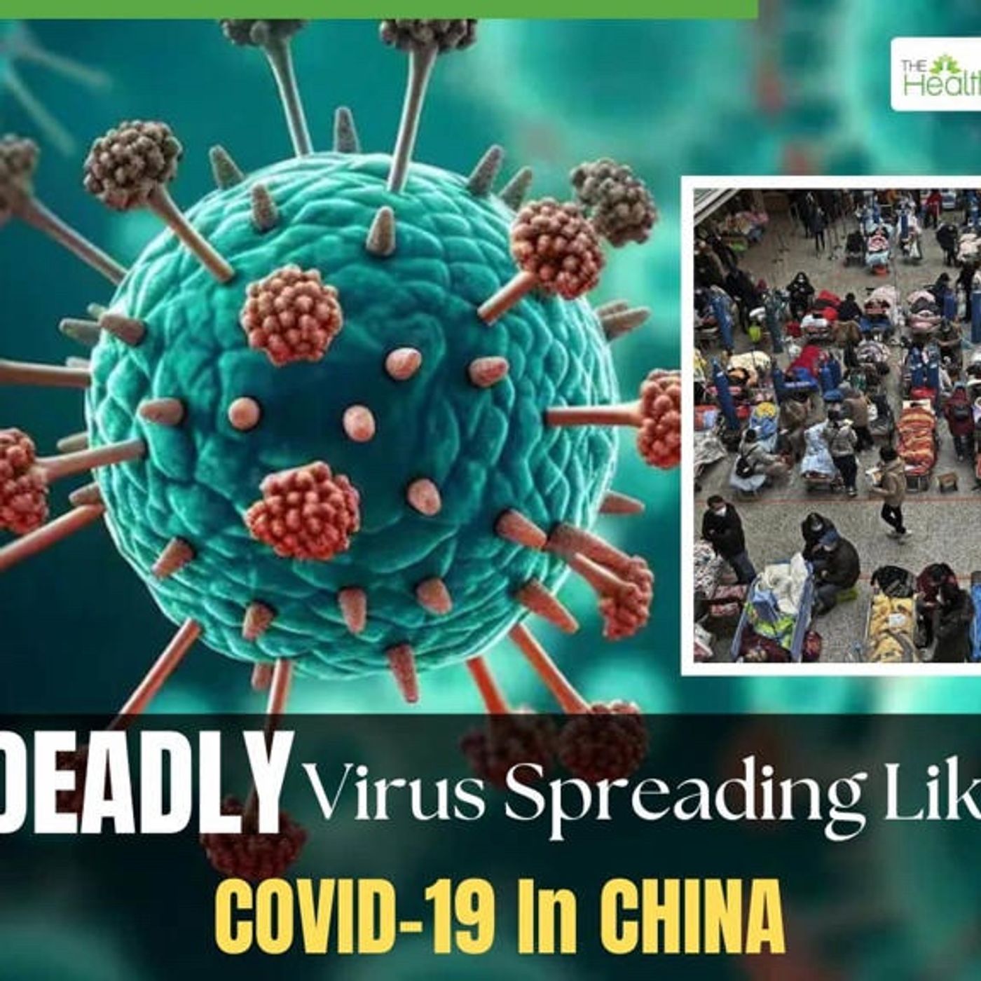 EMERGENCY ALERT! Pandemic Pt.2 (WUHAN INCOMING)!?