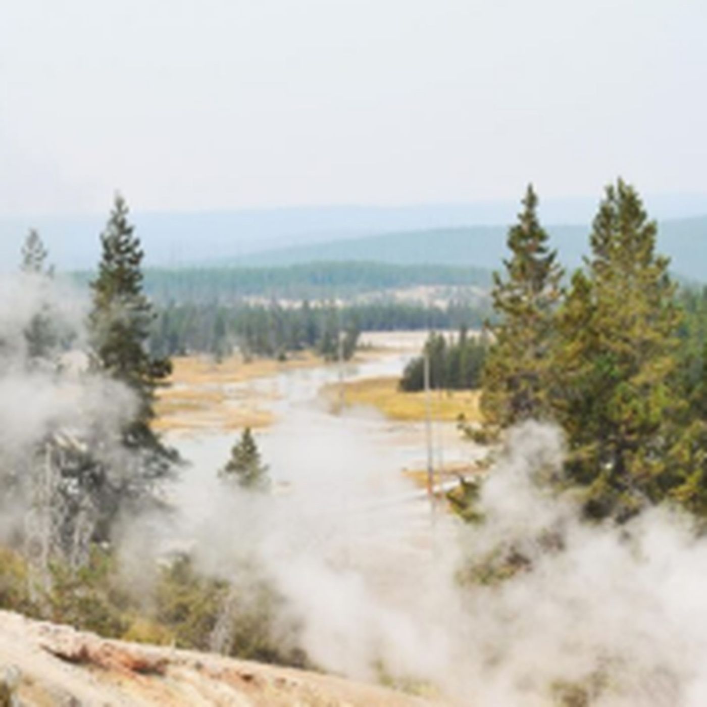 States Most Affected by Wildfires in the U.S. – 2024 Update