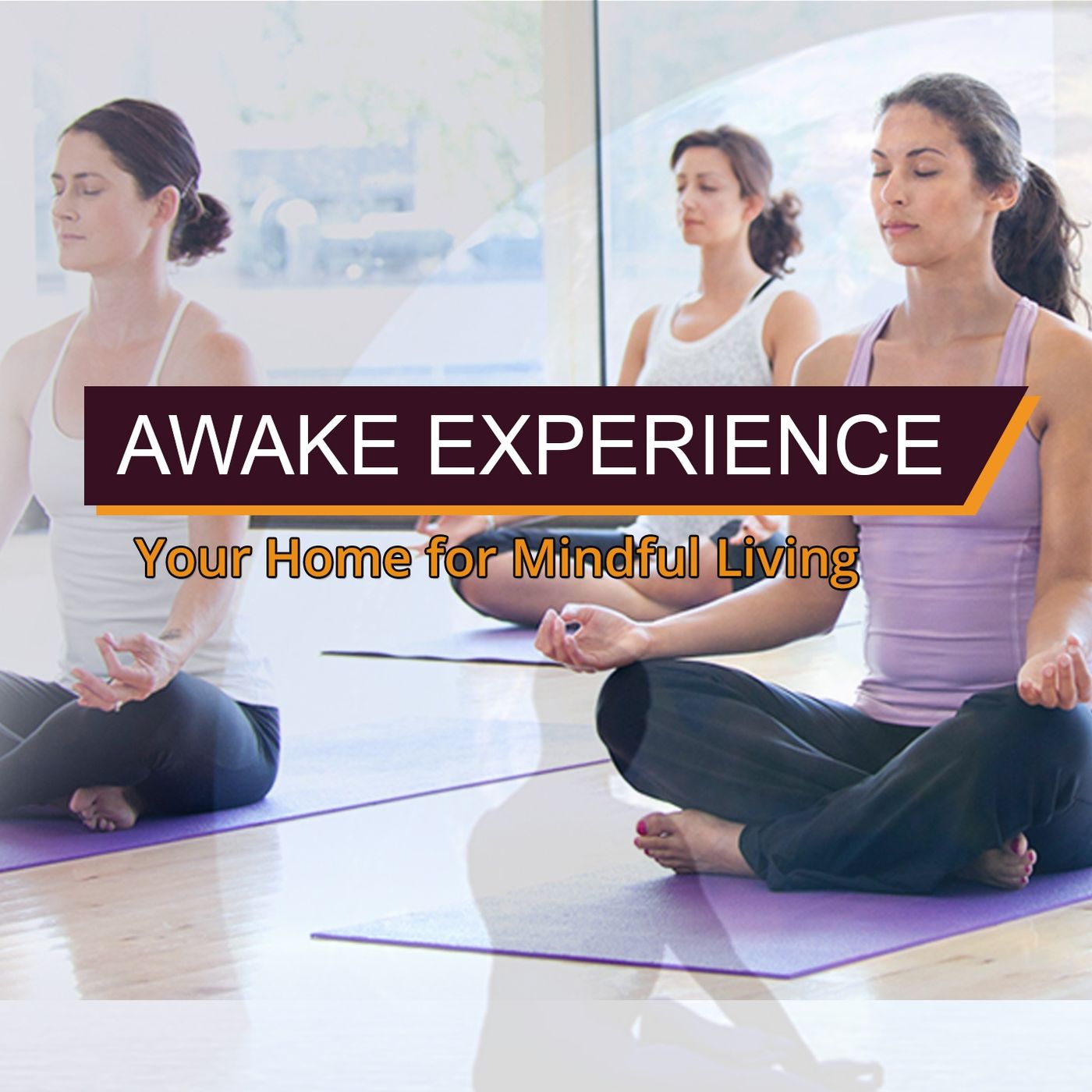 AWAKE Experience