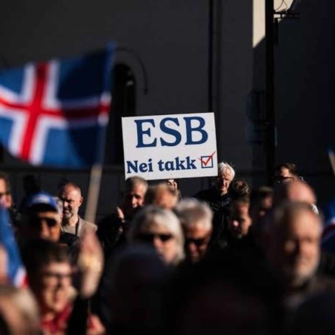 Iceland votes on reviving EU membership talks episode artwork